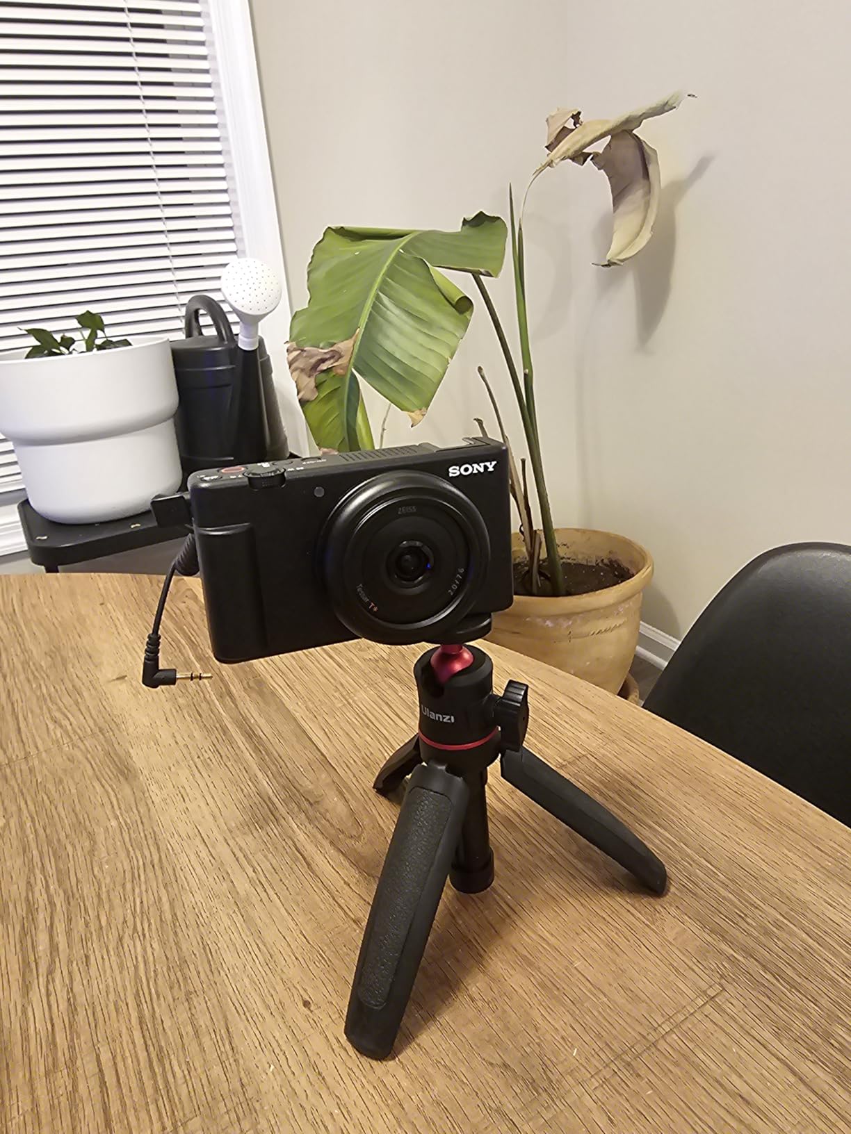 Sony ZV-1F Vlog Camera for Content Creators and Vloggers Black - Customer Photo 4