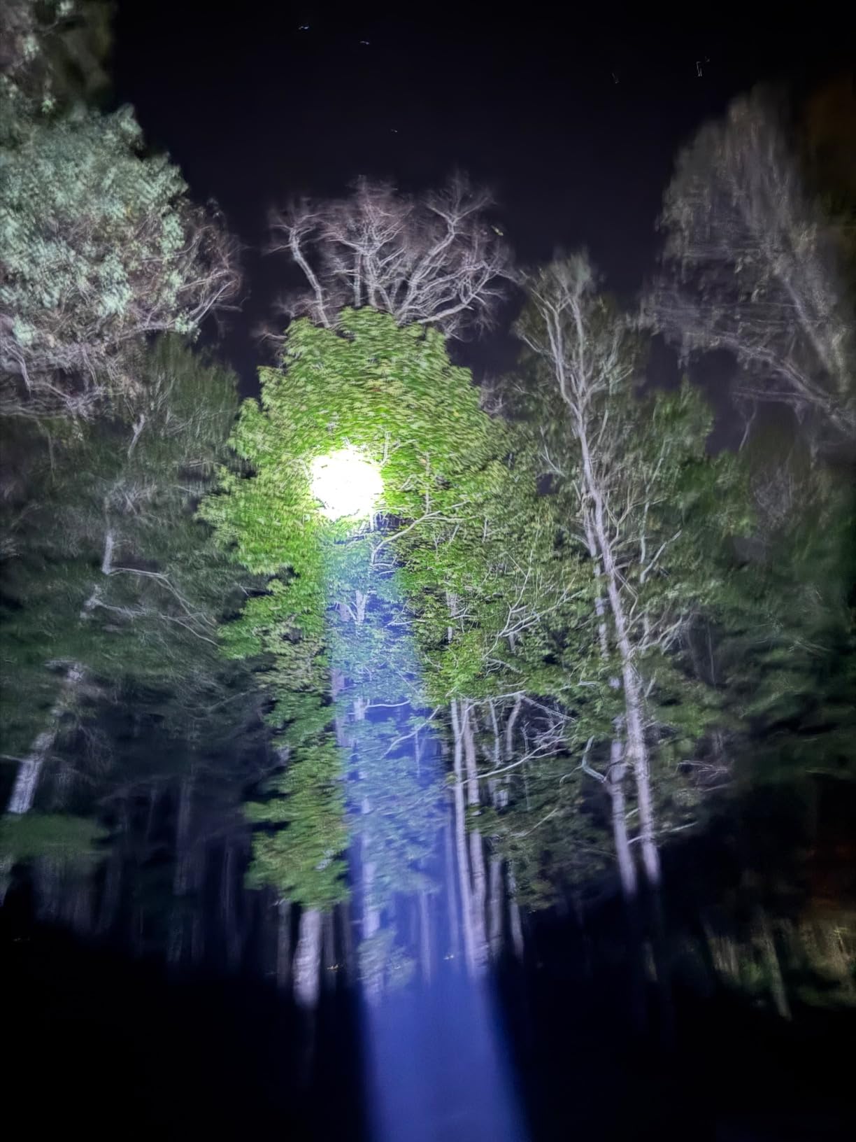 YIERBLUE Rechargeable Spotlight Flashlight with Super High High Lumen LED, IP67 Waterproof Long Running Spot Light searchlight, Impact Resistant Handheld Spotlight with Foldable Stand and Red Lens Customer Review YIERBLUE Rechargeable Spotlight Flashlight with Super High High Lumen LED, IP67 Waterproof Long Running Spot Light searchlight, Impact Resistant Handheld Spotlight with Foldable Stand and Red Lens - Customer Photo 3