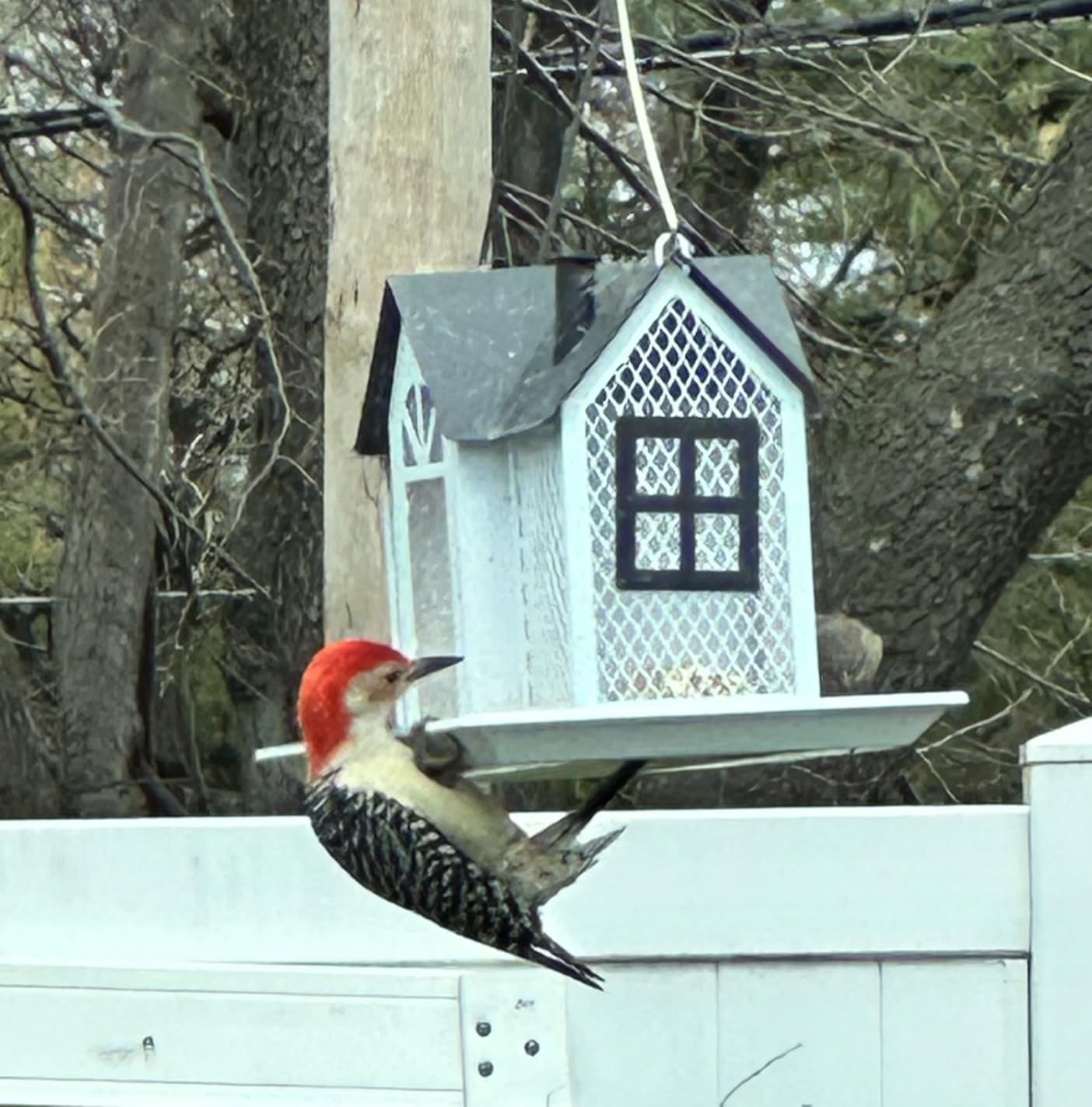 Kingsyard Bird Feeder House for Outside, Metal Mesh Wild Bird Feeder with Triple Feeders for Finch Cardinal Chickadee, Large Capacity, Weatherproof and Durable, Red - Customer Photo 2