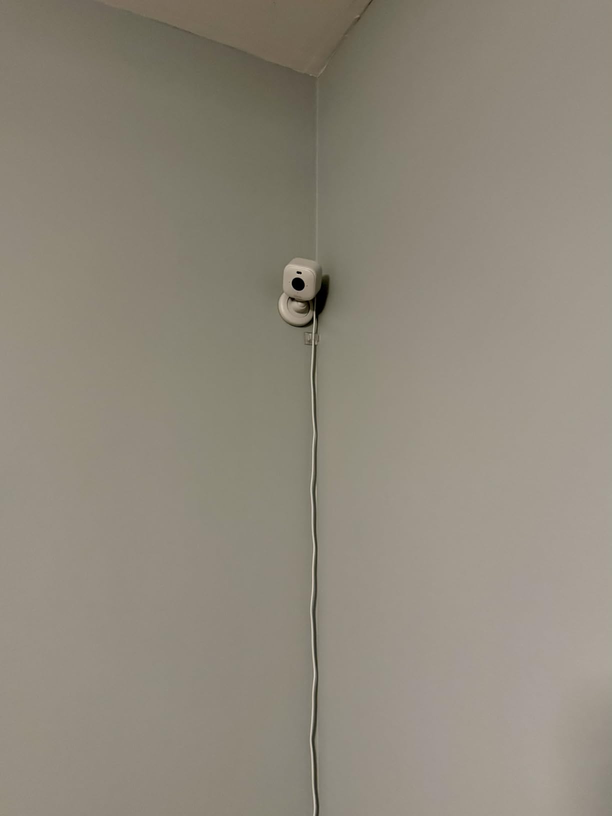 Blink Mini 2 — Home Security & Pet Camera with HD video, color night view, motion detection, two-way audio, and built-in spotlight — 1 camera (White) Customer Review Blink Mini 2 — Home Security & Pet Camera with HD video, color night view, motion detection, two-way audio, and built-in spotlight — 1 camera (White) - Customer Photo 1