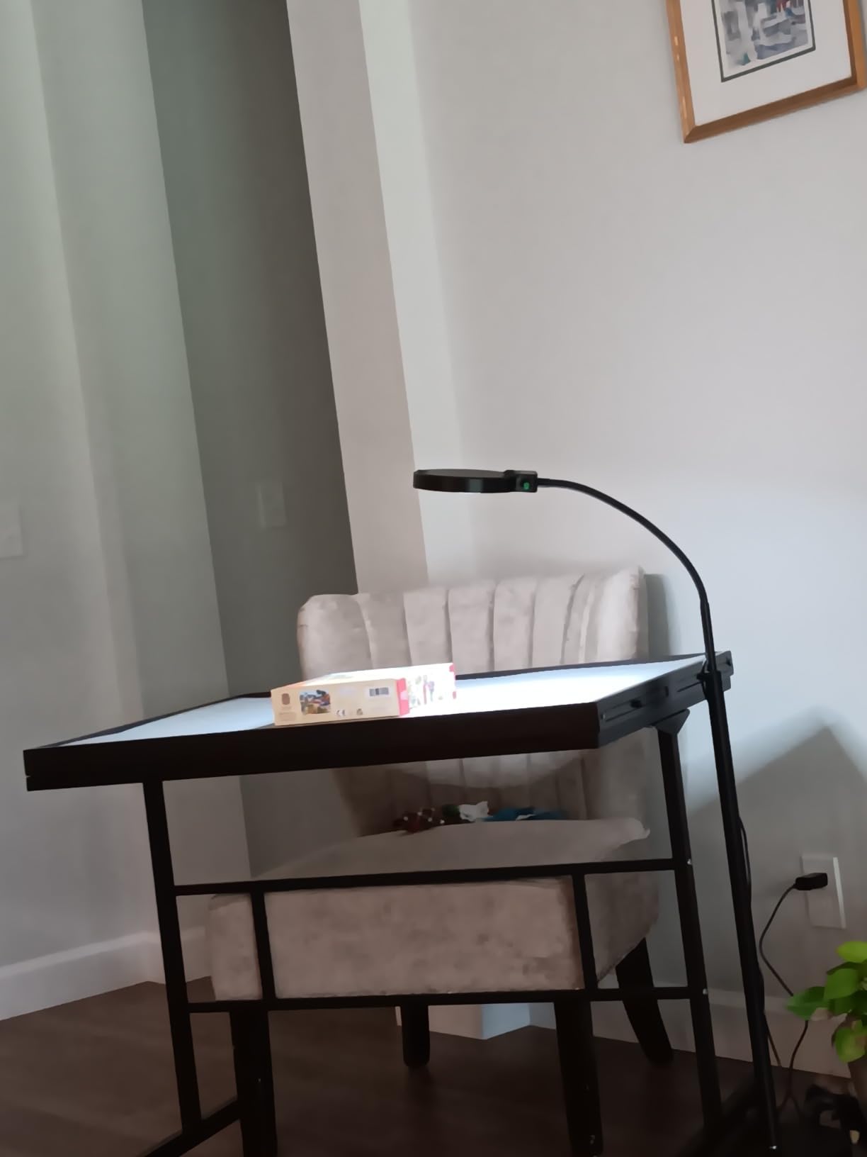 Magnifying Glass with Light and Stand 10X 20X, 36 LED Dimmable Floor Magnifying Lamp, 3-in-1 Adjustable Gooseneck Lighted Magnifier for Reading, Sewing, Crafts, Close Work etc - Customer Photo 3