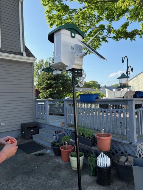 Bird Feeder with Camera with AI Identify Birds Species Solar Panel, Smart Bird House with Cam, 2K Live View, Instant Arrival Alerts - Customer Photo 1