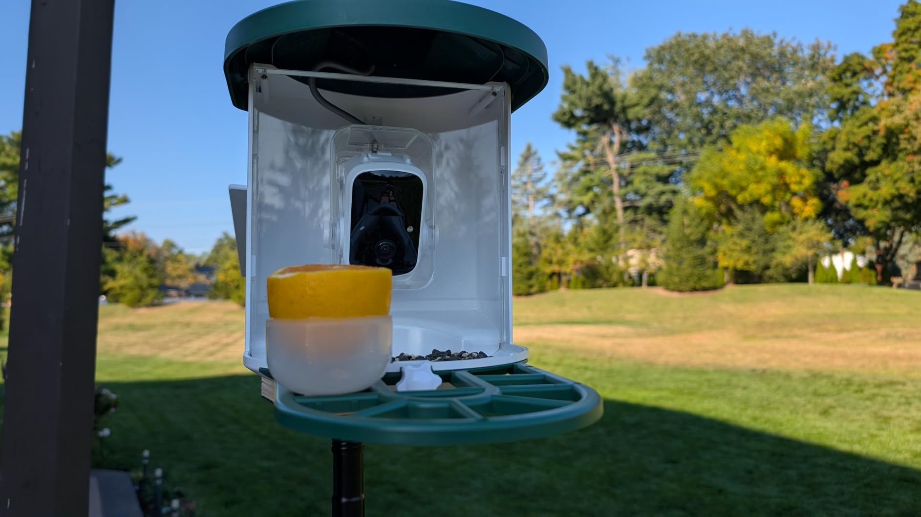 Bird Feeder with Camera with AI Identify Birds Species Solar Panel, Smart Bird House with Cam, 2K Live View, Instant Arrival Alerts - Customer Photo 3