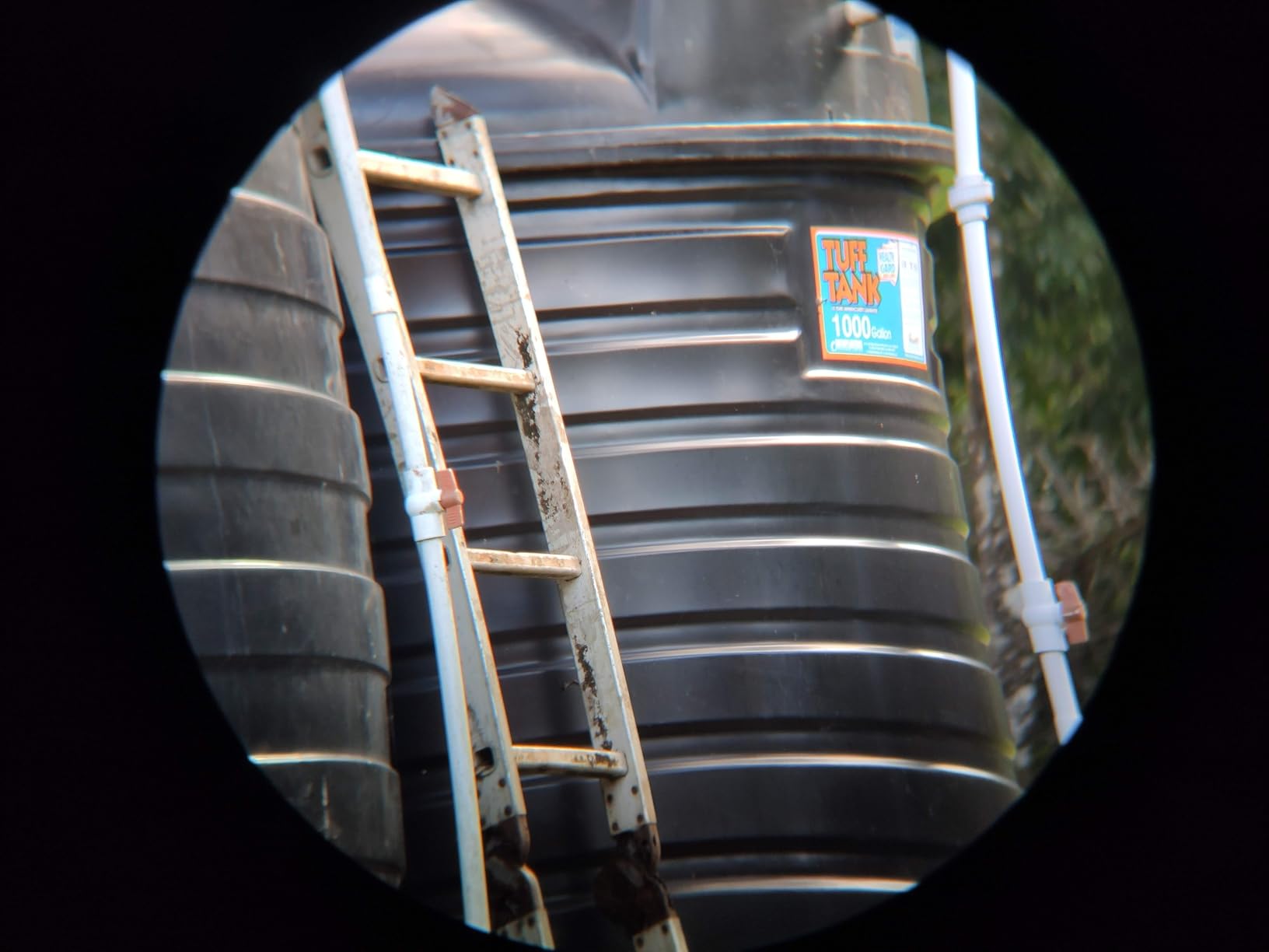 15x52 HD Binoculars for Adults High Powered with Upgraded Phone Adapter - Large View Binoculars with Clear Low Light Vision - Lightweight Waterproof Binocular for Bird Watching Travel Hunting Cruise - Customer Photo 4