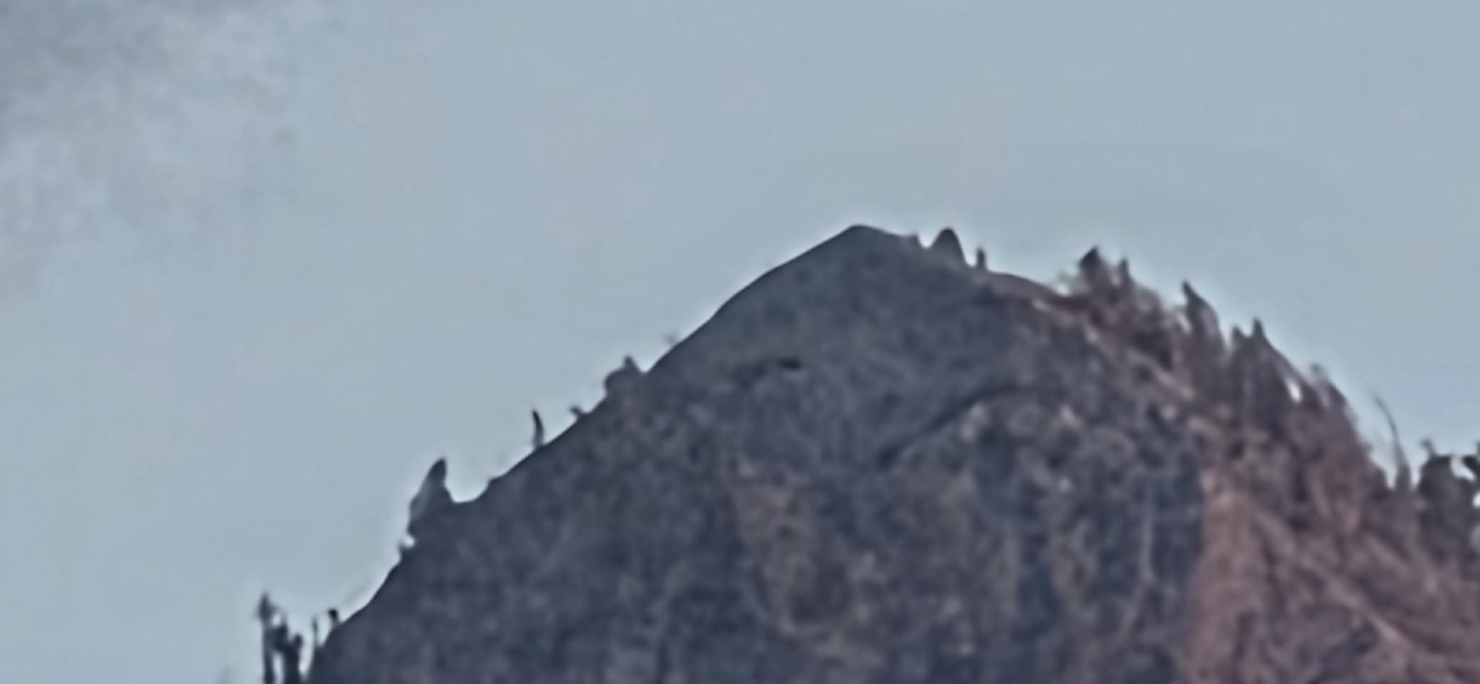 Canon RF200-800mm F6.3-9 IS USM Super-telephoto Zoom Lens, Powerful Zoom Range, Comfortable Handheld Shooting, for Wildlife, Nature, Outdoor Sports customer photo 2