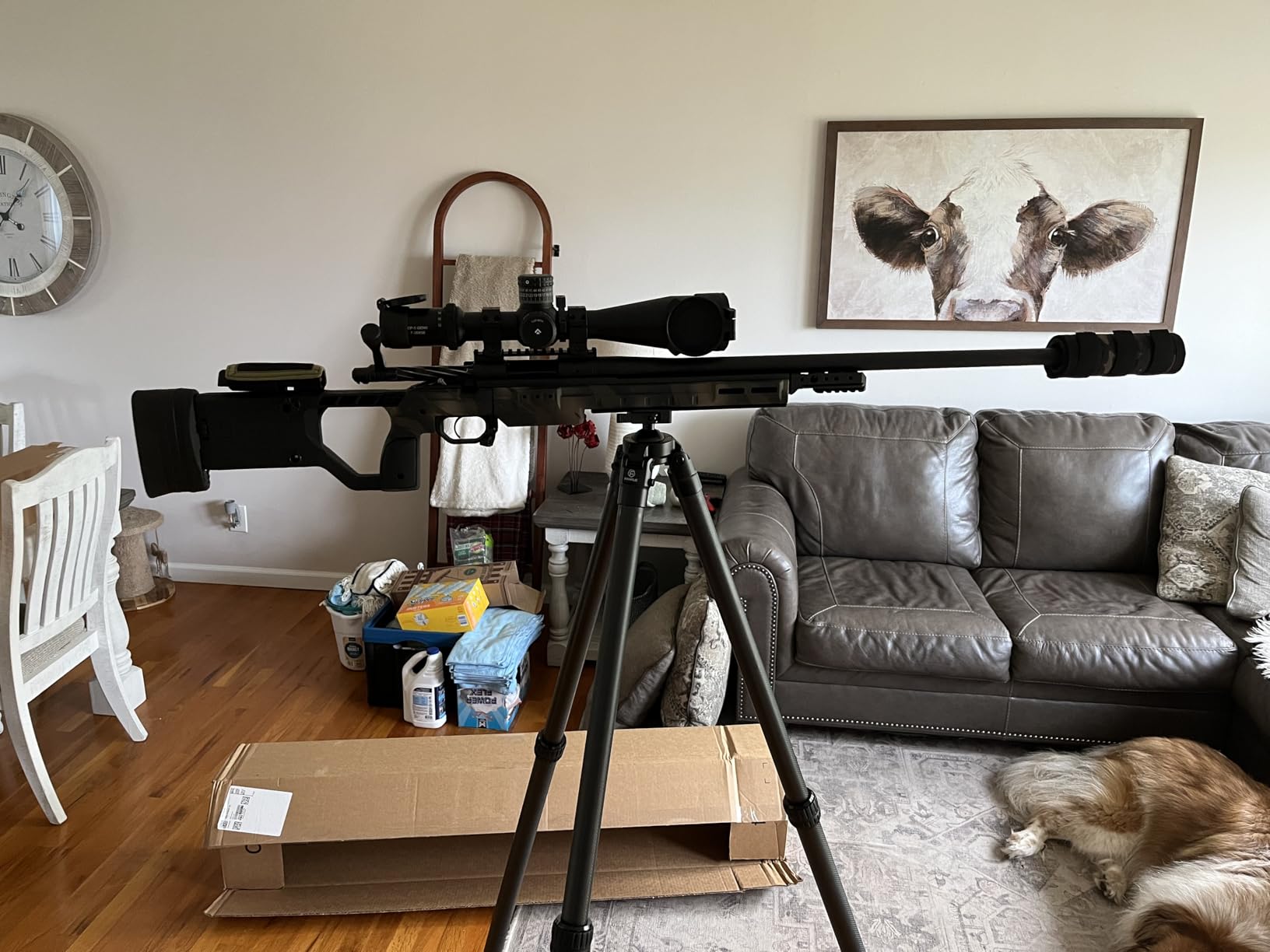 FANAUE ST-45 Carbon Fiber Tripod for Shooting, Hunting Tripod with Arca Swiss Quick Release Plate, Tripod for Photography with 360° Rotating Ball Head Adapter, Stable Rifles Rest Saddle Stand Customer Review FANAUE ST-45 Carbon Fiber Tripod for Shooting, Hunting Tripod with Arca Swiss Quick Release Plate, Tripod for Photography with 360° Rotating Ball Head Adapter, Stable Rifles Rest Saddle Stand - Customer Photo 1