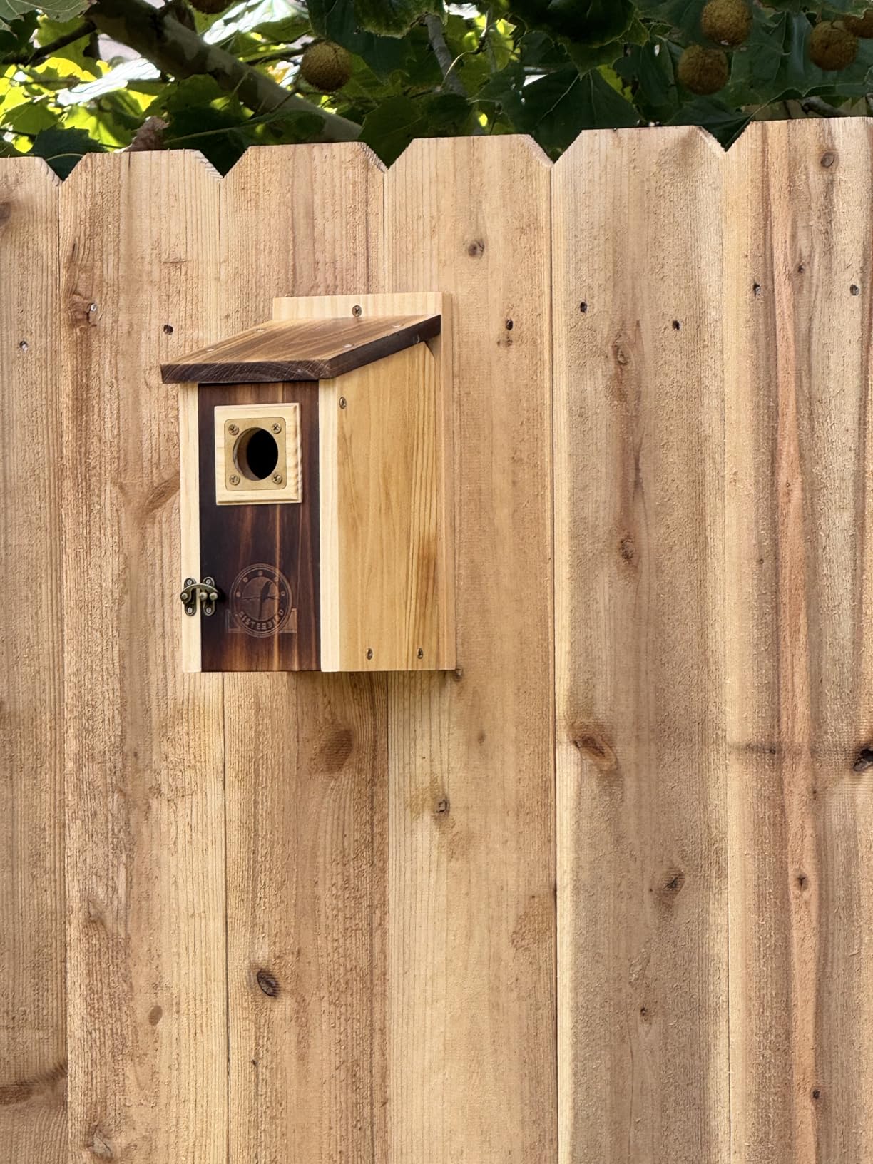 2 Pack Bird Houses for Outside Clearance with Copper Guard, Cedar Bird House Outdoor, Bluebird Finch Swallow Wren Chickadee Assembly Required - Customer Photo 1