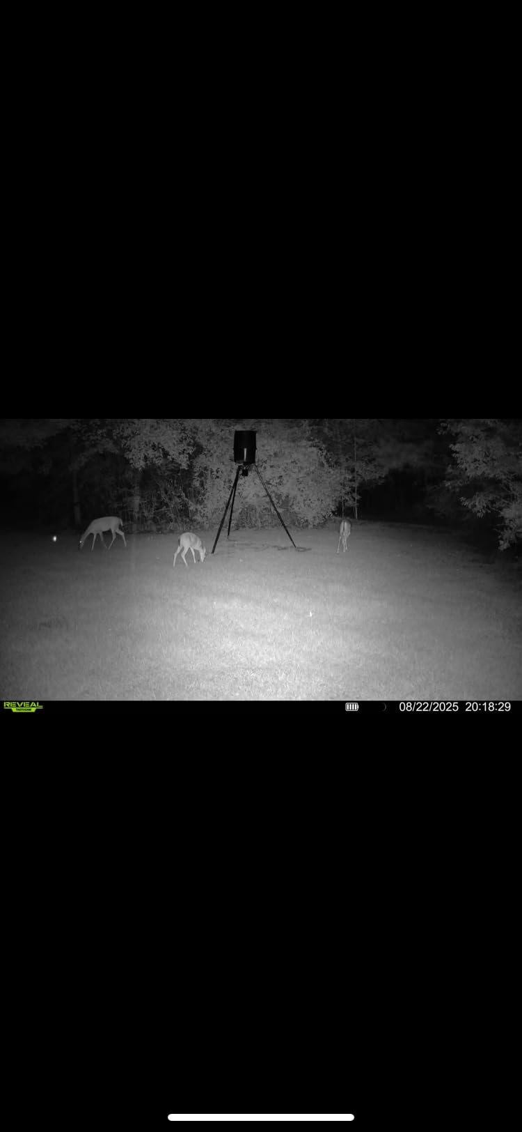 TACTACAM Reveal X Gen 3.0 LTE Cellular Trail Camera AT&T and Verizon,1080p FHD Video, Low Glow IR LED Flash, No SD Card Required (RV-TC-XGEN3) for Hunting, Property Security, Scouting - Customer Photo 1