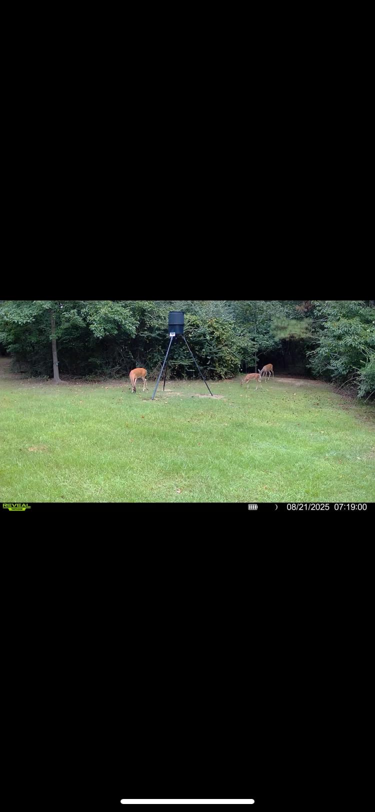 TACTACAM Reveal X Gen 3.0 LTE Cellular Trail Camera AT&T and Verizon,1080p FHD Video, Low Glow IR LED Flash, No SD Card Required (RV-TC-XGEN3) for Hunting, Property Security, Scouting - Customer Photo 2