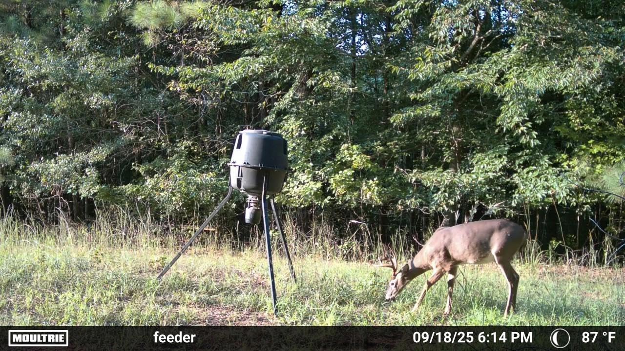 Moultrie Edge 2 Cellular Trail Camera - Auto Connect Nationwide 4G LTE - On Demand 36MP Photo - 1080P Video with HD Audio - 100 Ft Detection Range - Low Glow Flash - Customer Photo 1