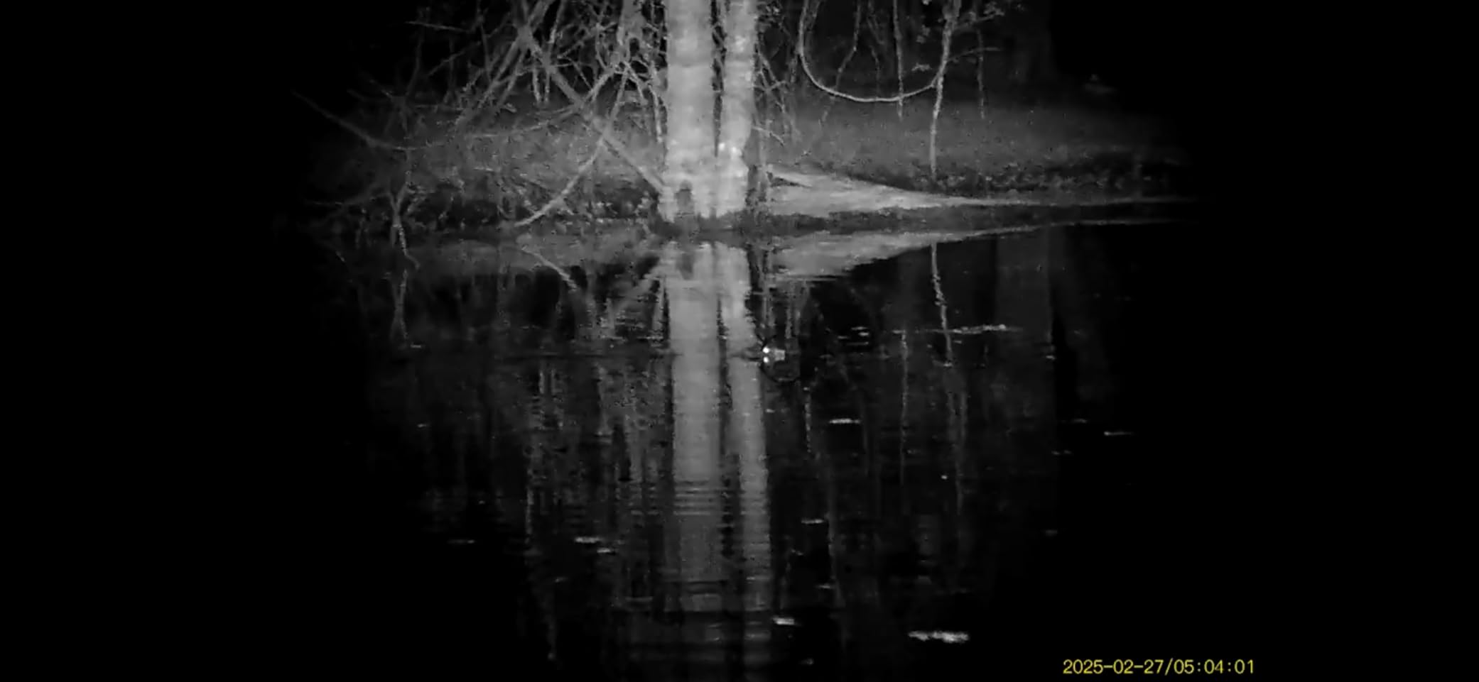 Triton StarStrike Gen II 5-20x HD Night Vision Rifle Scope | IR Infrared Scope Customer Review Triton StarStrike Gen II 5-20x HD Night Vision Rifle Scope | IR Infrared Scope - Customer Photo 1