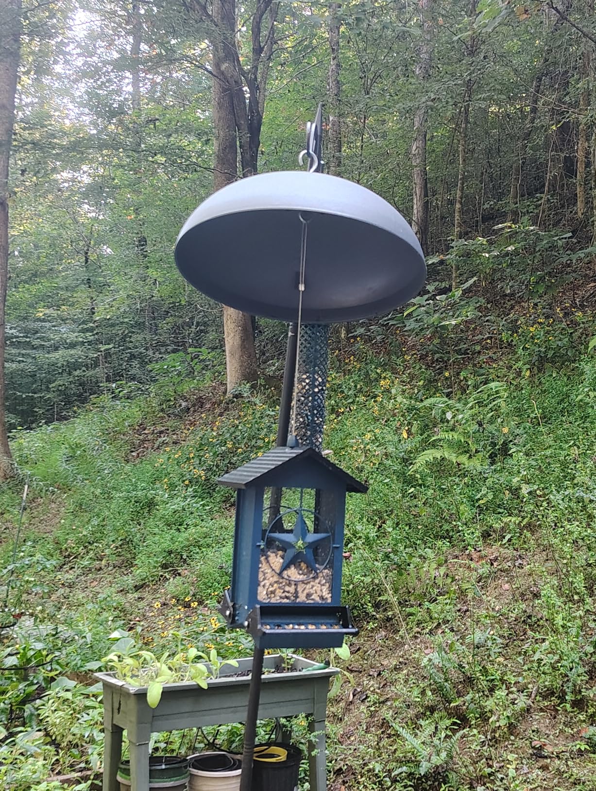 Squirrel Proof Bird Feeder for Outdoors Hanging, Metal Wild Bird Seed Feeder with Bilateral Weight-Activated Perches, 5LB Large Capacity Wild Bird Feeders for Outside Finch, Cardinal, Blue Jay - Customer Photo 2