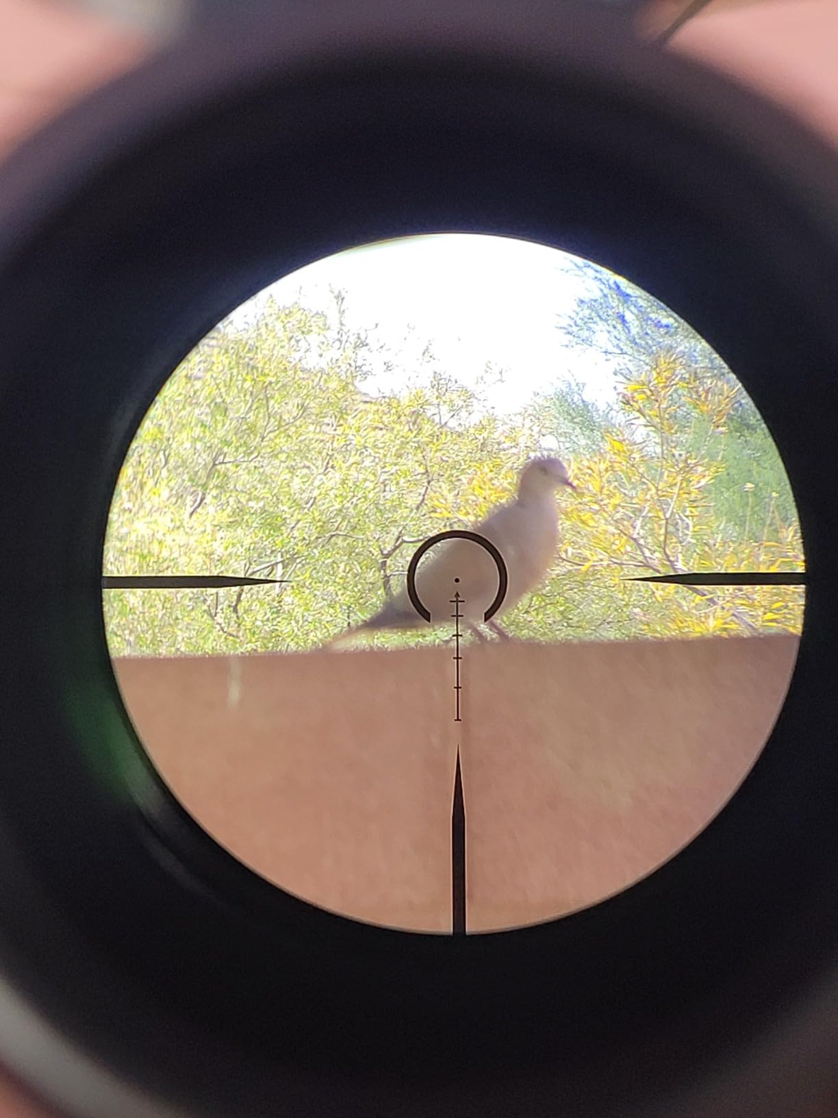 Monstrum Ladon 1-6x SFP LPVO Rifle Scope customer photo 2