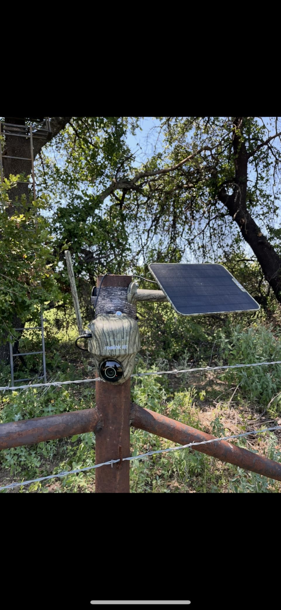 REOLINK 4K Cellular Trail Camera, 3G/4G LTE, 360° 4K HD Full View, 32GB SD+SIM Card Included, Animal Recognition, No-Glow IR, Smart Motion Activated, Go Ranger PT+Solar Panel, Updated Version - Customer Photo 1