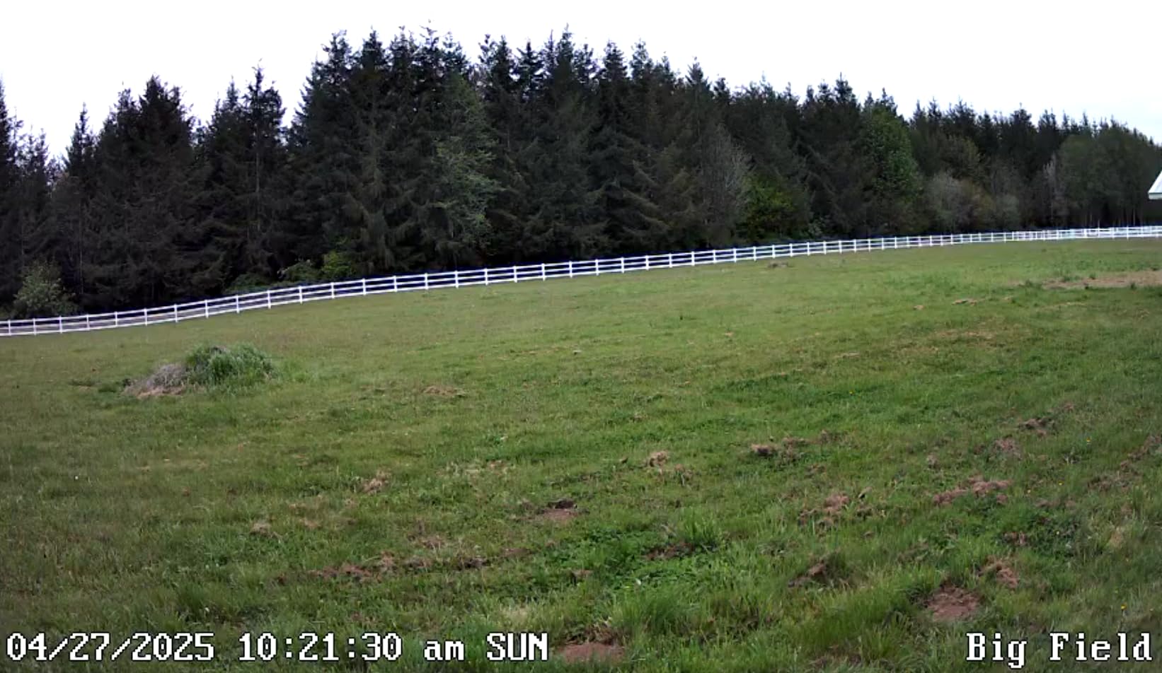 REOLINK 4K Cellular Trail Camera, 3G/4G LTE, 360° 4K HD Full View, 32GB SD+SIM Card Included, Animal Recognition, No-Glow IR, Smart Motion Activated, Go Ranger PT+Solar Panel, Updated Version - Customer Photo 2