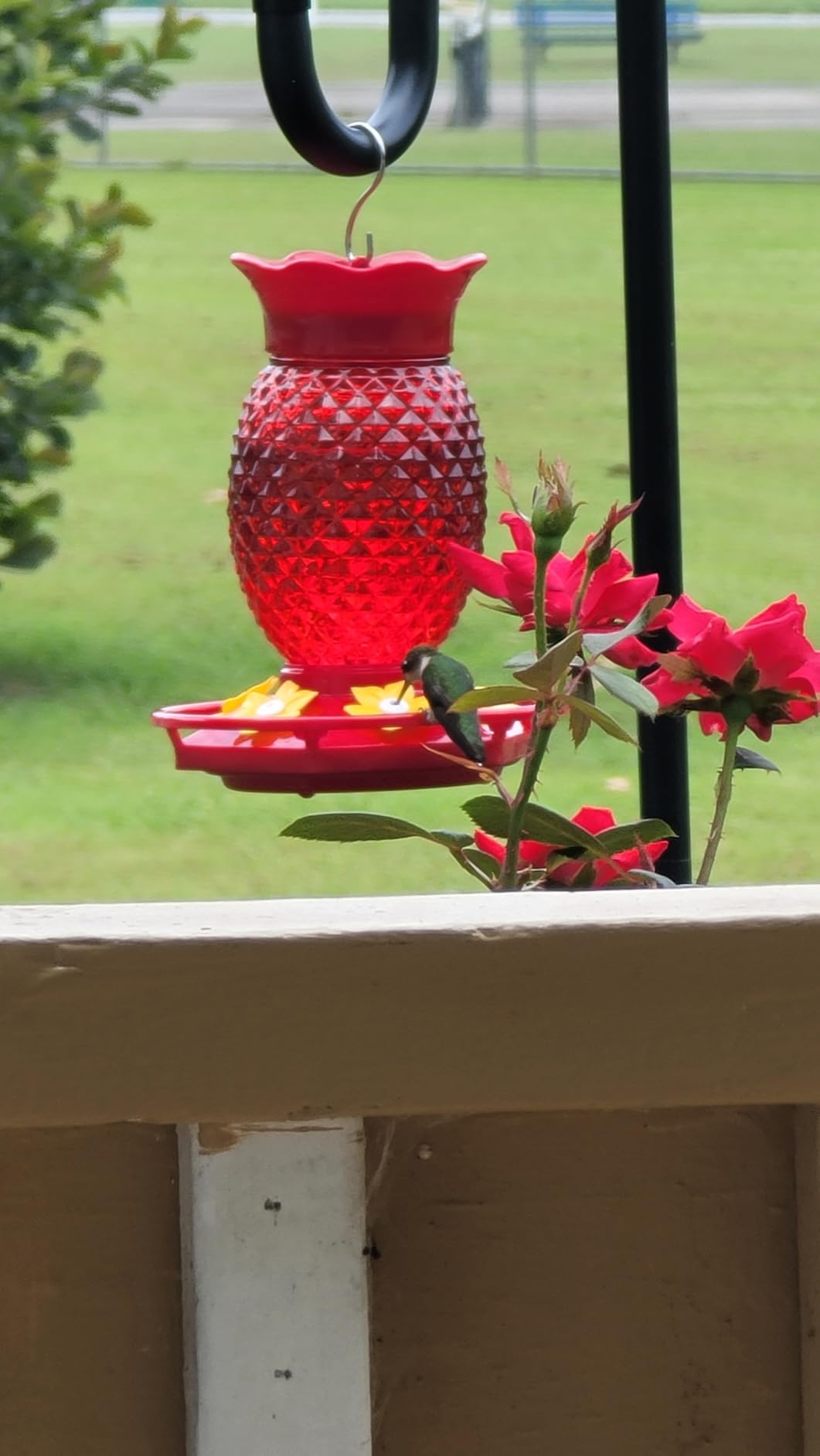 Glass Hummingbird Feeders for Outdoors Hanging Ant and Bee Proof 16OZ 2 Pack Red Pineapple Humming Bird Feeder with 6 Feeding Ports and Ant Moat Hummingbird Gifts for Women Garden Decor - Customer Photo 1