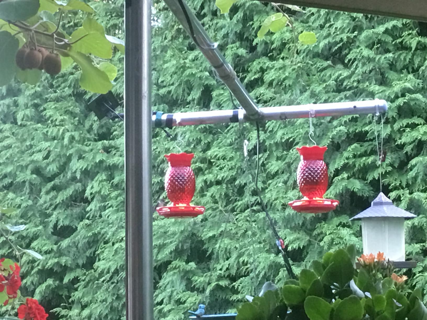Glass Hummingbird Feeders for Outdoors Hanging Ant and Bee Proof 16OZ 2 Pack Red Pineapple Humming Bird Feeder with 6 Feeding Ports and Ant Moat Hummingbird Gifts for Women Garden Decor - Customer Photo 2