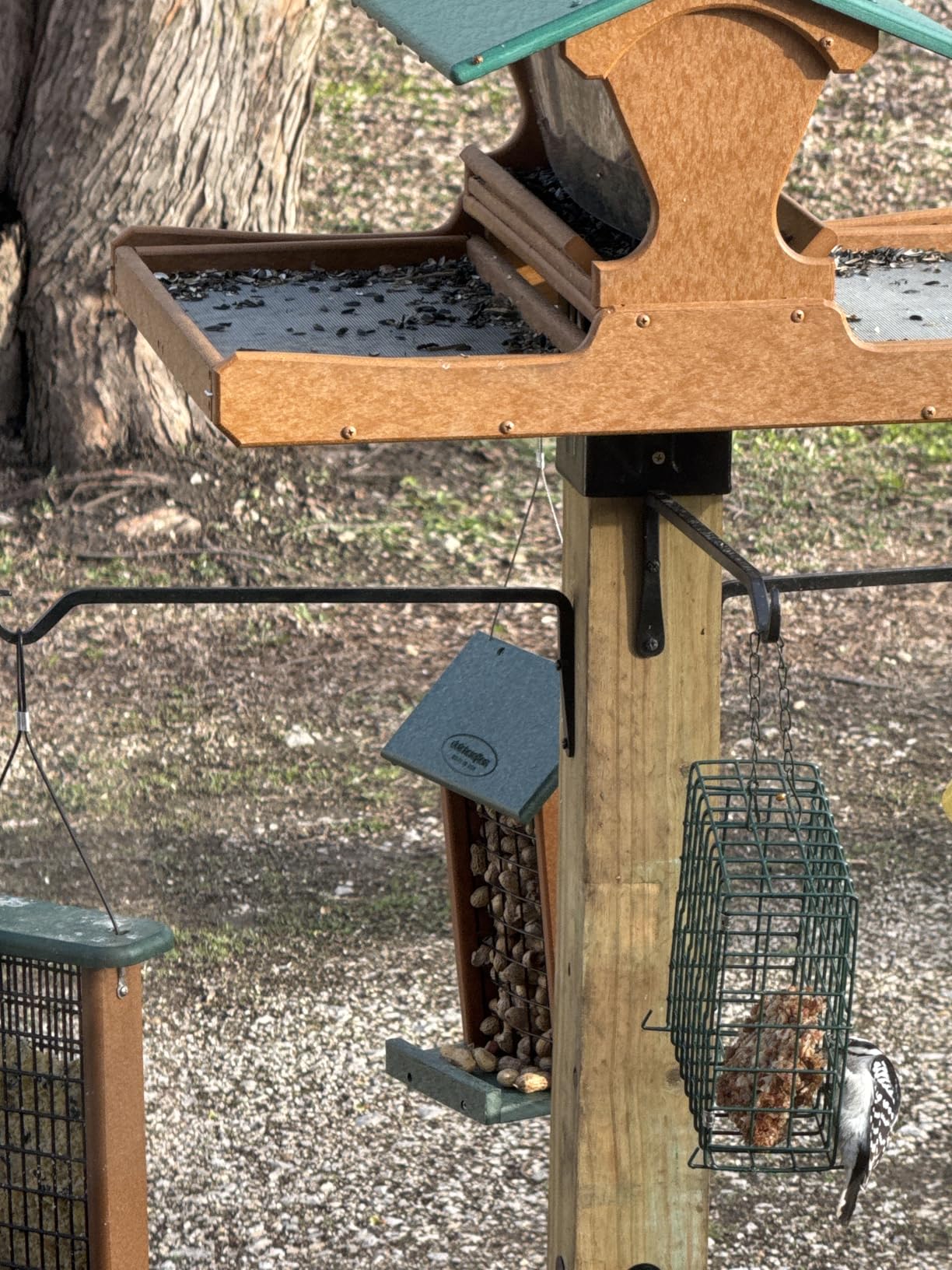 Plastic Poly Hanging Whole Peanut Bird Feeder for Large Birds, Woodpeckers, Crows, Blue Jays for Outdoor, Garden, Yard - USA Amish Made (Black & Weatherwood) - Customer Photo 2