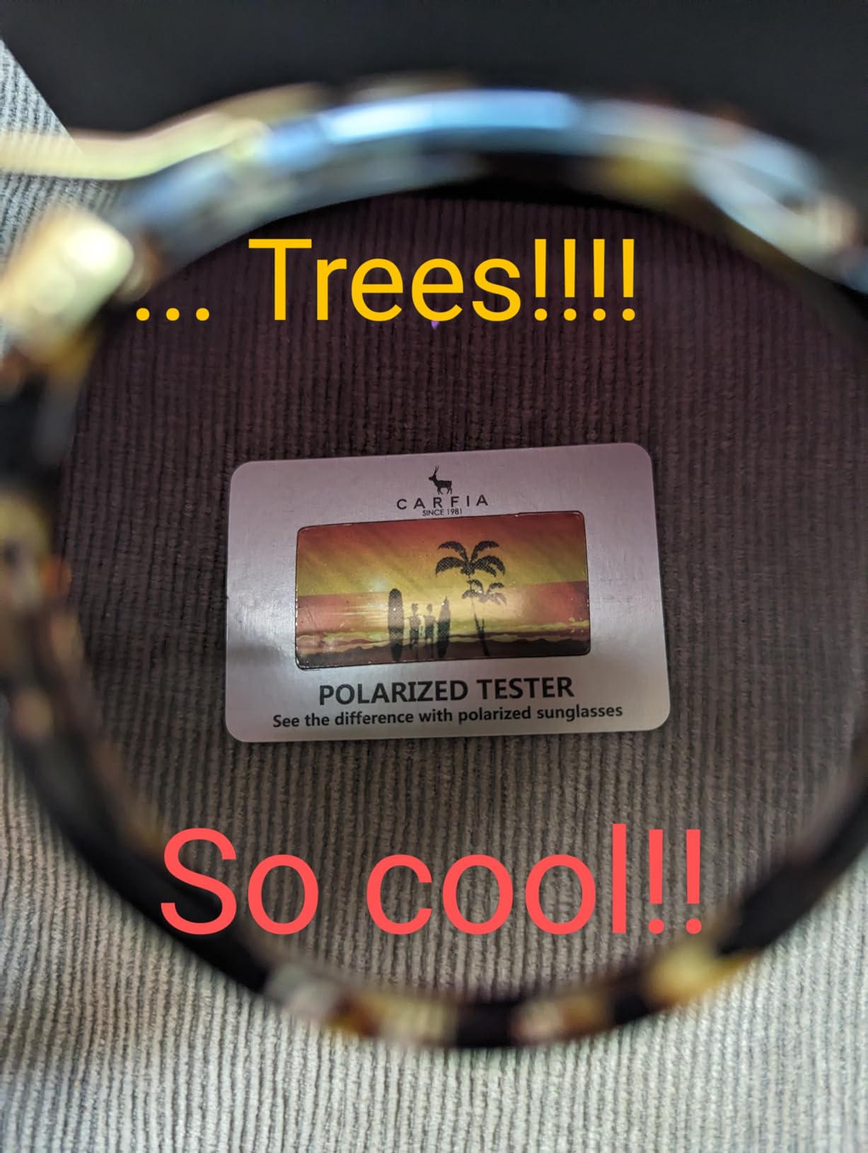 CARFIA Small Face Acetate Polarized Sunglasses for Women UV Protection, Retro Double Bridge Eyewears Metal Brow Round Sunnies Customer Review CARFIA Small Face Acetate Polarized Sunglasses for Women UV Protection, Retro Double Bridge Eyewears Metal Brow Round Sunnies - Customer Photo 1