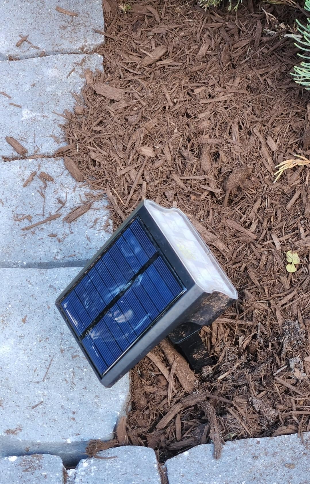 HGGH Solar Lights Outdoor Waterproof IP67, 60 LED 3 Lighting Modes Solar Spot Lights Outdoor for Yard Garden Pathway Landscape, Auto On/Off, Function 2 in 1(Cool White, 4 Pack) Customer Review HGGH Solar Lights Outdoor Waterproof IP67, 60 LED 3 Lighting Modes Solar Spot Lights Outdoor for Yard Garden Pathway Landscape, Auto On/Off, Function 2 in 1(Cool White, 4 Pack) - Customer Photo 5