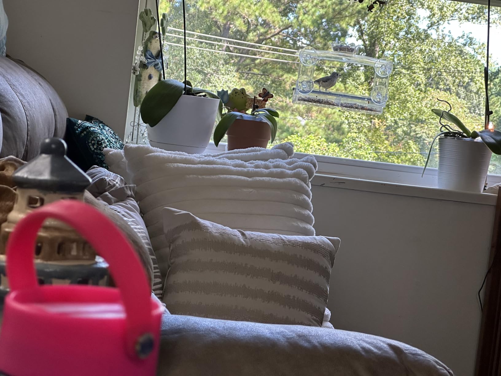 Window Bird Feeder for Outdoors-Clear Acrylic Window Bird Feeders with Strong Suction Cups and Removable Seed Tray,Transparent Birdhouse for Viewing Wild Birds, Ideal Outside Gardening Gifts - Customer Photo 3