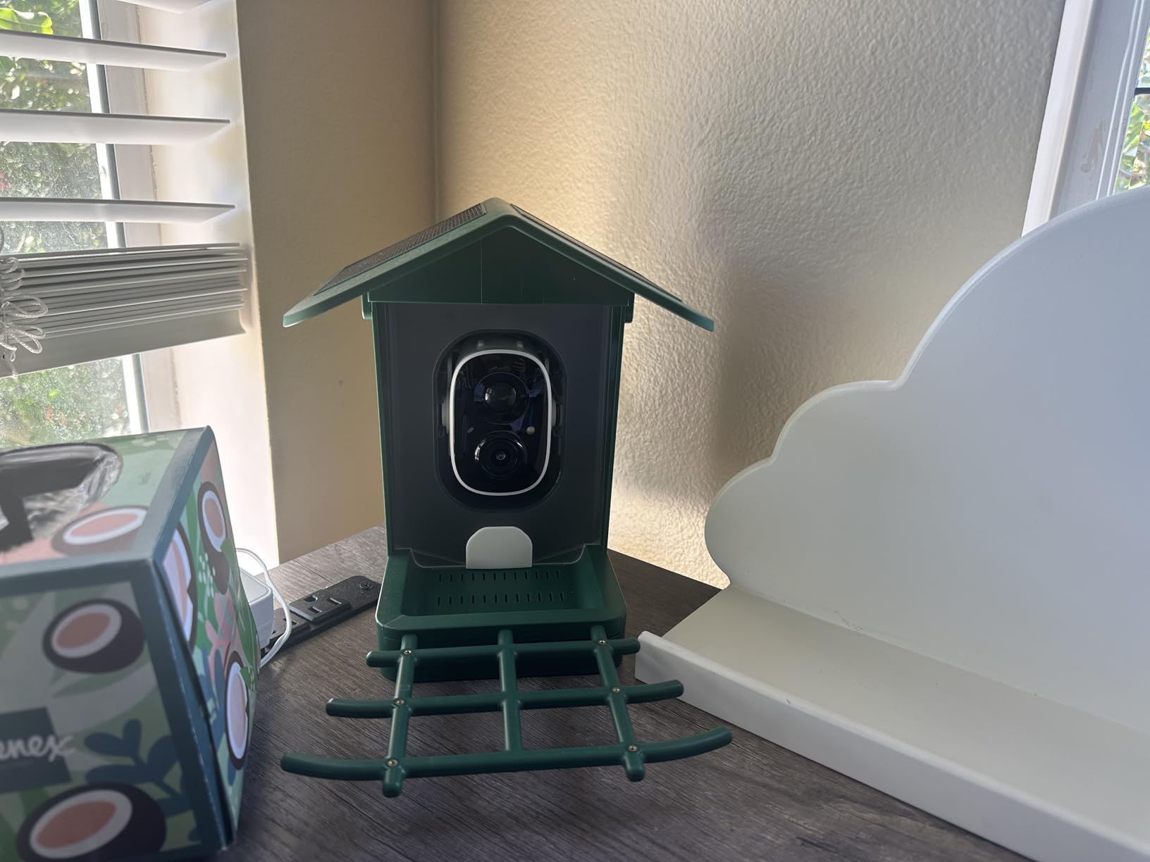 PeckCam® Bird Feeder with Camera Solar Powered, AI Identify & Auto Capture, 2K HD Live Video Smart Bird Feeder Camera Instant Notifications in Backyard, Gift for Bird Lovers - Customer Photo 1