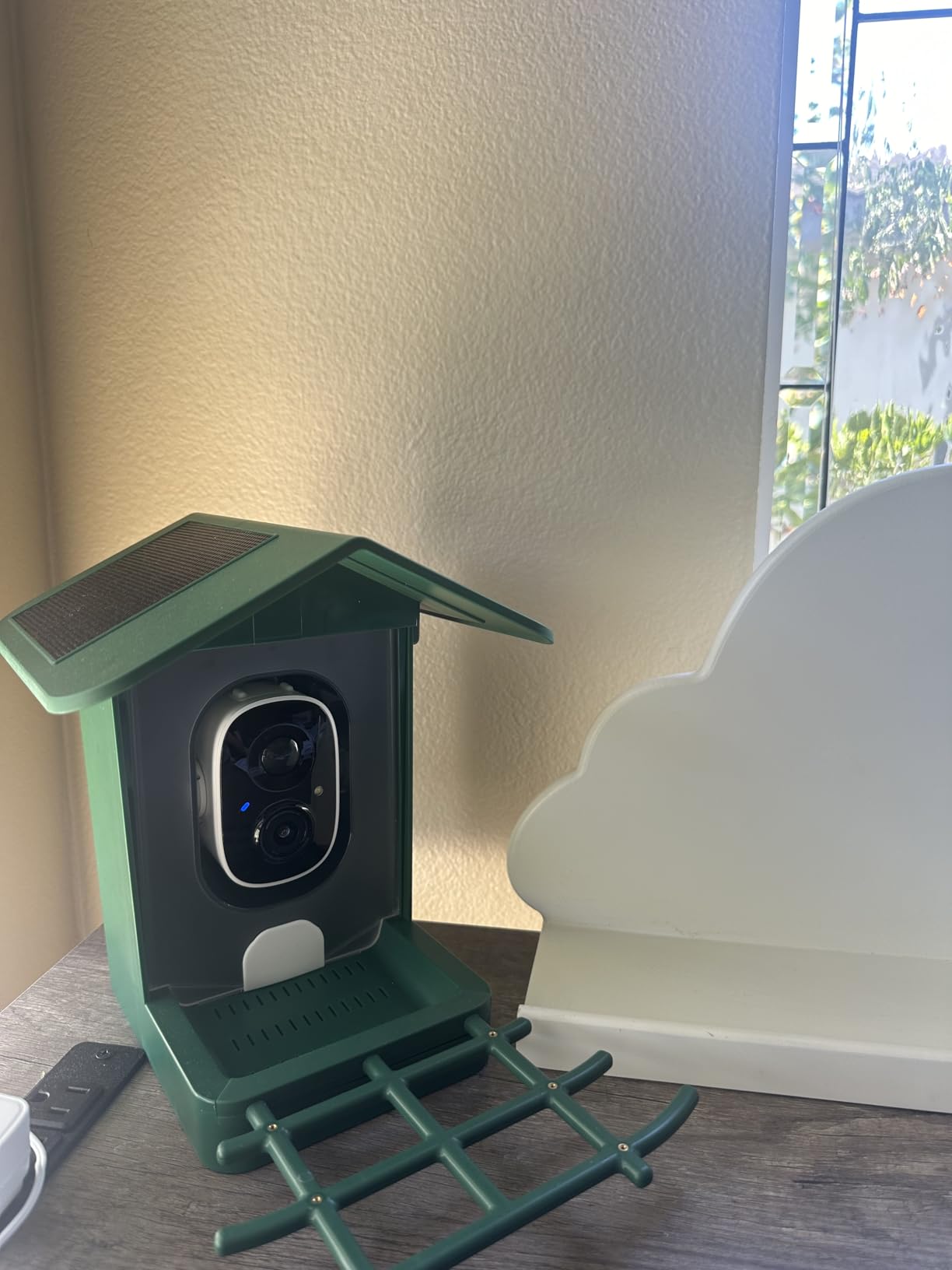 PeckCam® Bird Feeder with Camera Solar Powered, AI Identify & Auto Capture, 2K HD Live Video Smart Bird Feeder Camera Instant Notifications in Backyard, Gift for Bird Lovers - Customer Photo 4