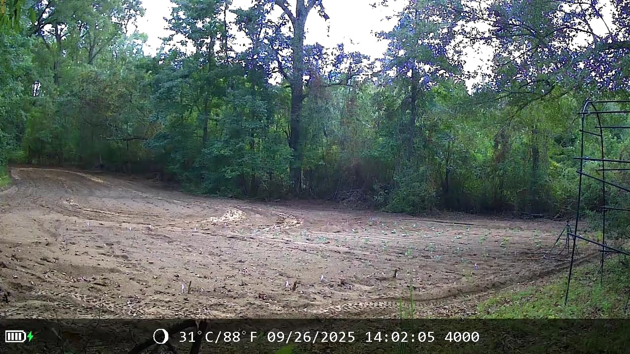 Trail Camera - 4K 64MP WiFi Game Cameras with Night Vision Motion Activated Waterproof IP66, Trail cam with 32GB SD Card, Built-in Battery Solar Power, 0.2s Trigger Speed for Wildlife Camera - Customer Photo 1