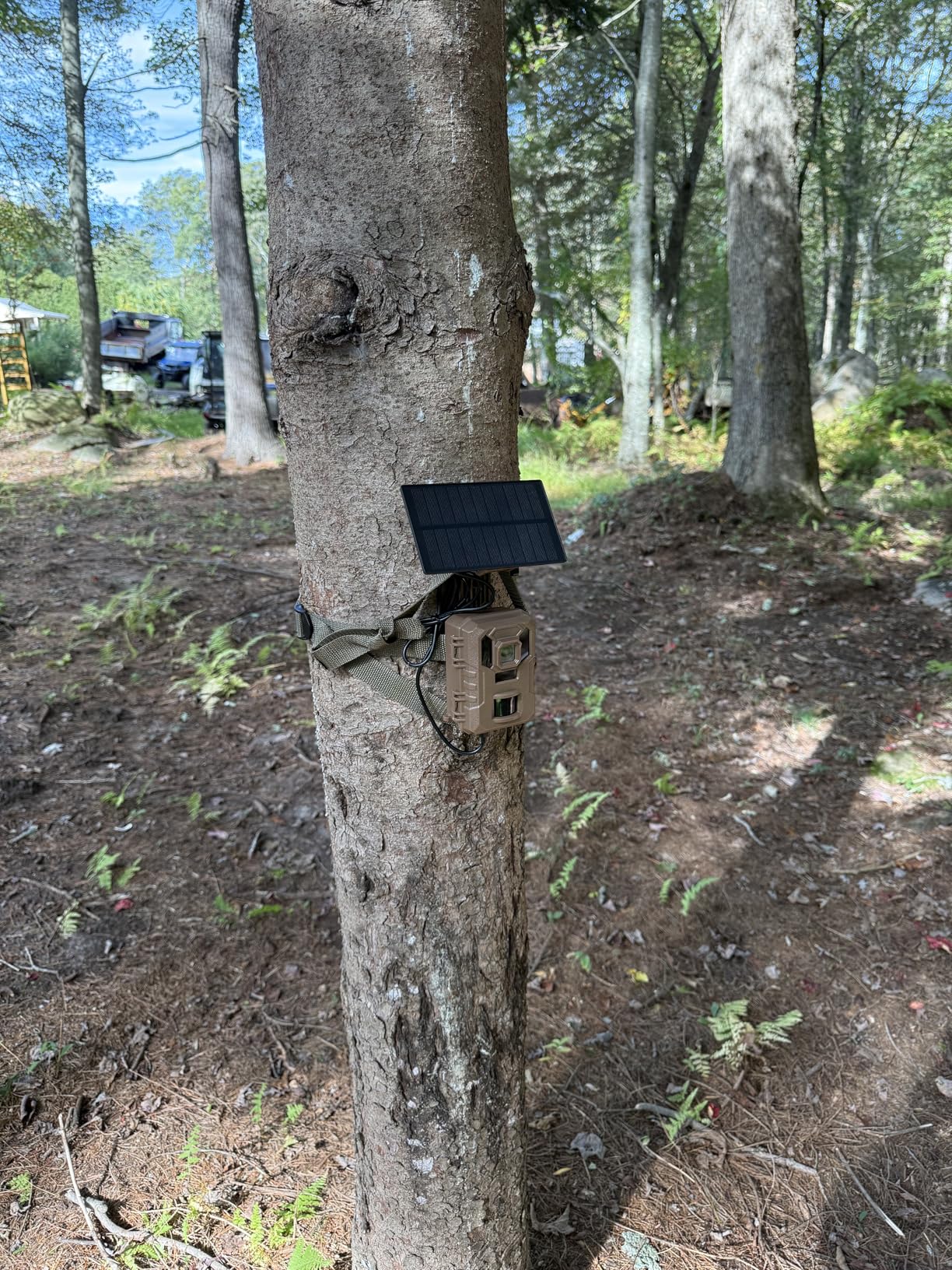 Trail Camera - 4K 64MP WiFi Game Cameras with Night Vision Motion Activated Waterproof IP66, Trail cam with 32GB SD Card, Built-in Battery Solar Power, 0.2s Trigger Speed for Wildlife Camera - Customer Photo 2