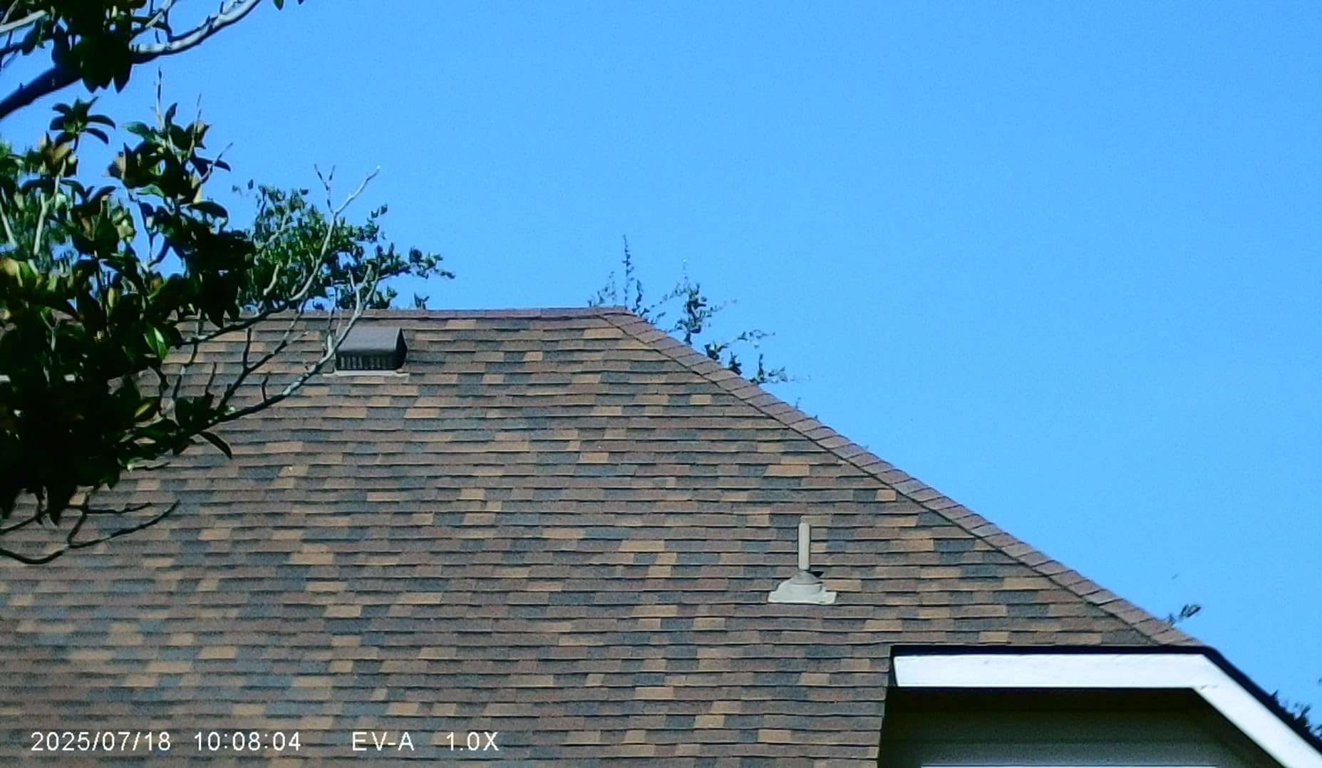 Night Thunder X3 Night Vision Goggles – 4K AI Color Mode Night Vision Binoculars for Adults with 40MP Photo, 1384FT Range, 8X Zoom, 5000mAh Battery, 32GB Card, for Camping Hunting & Security - Customer Photo 5