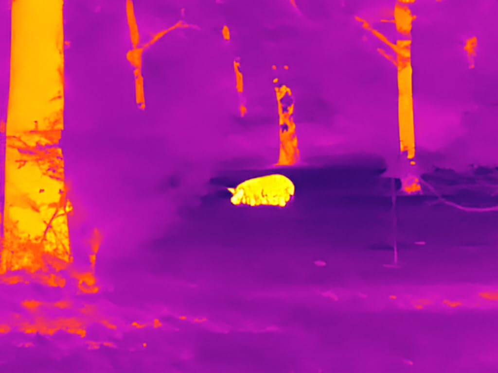 GOYOJO GRL325/GRL335 Thermal Scope for Hunting, 384x288 Thermal Vision Riflescope with High Sensitivity Optics, 55Hz Thermal Night Vision Scope with 64GB Storage Customer Review GOYOJO GRL325/GRL335 Thermal Scope for Hunting, 384x288 Thermal Vision Riflescope with High Sensitivity Optics, 55Hz Thermal Night Vision Scope with 64GB Storage - Customer Photo 2