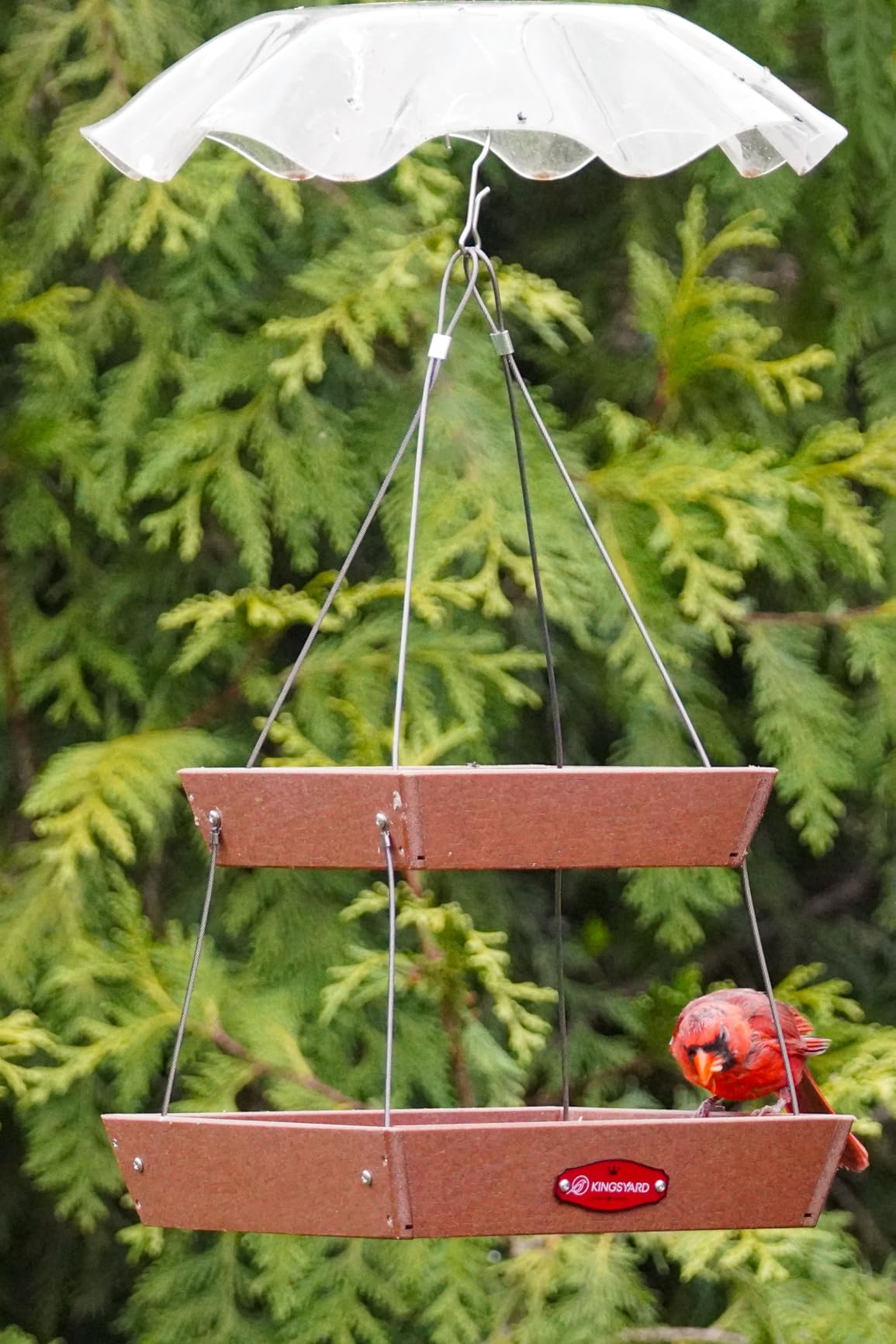 Kingsyard 2 Tier Platform Bird Feeders for Outdoors Hanging, 5 lbs Large Capacity Recycled Plastic Flat Mealworm Bird Feeder Tray, Garden Decoration Attracting Cardinal Blue Jay, Green - Customer Photo 1
