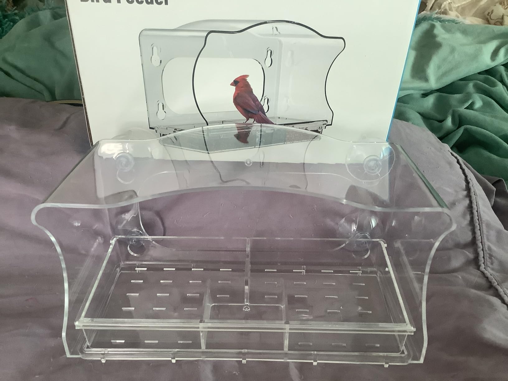 Smart Window Bird Feeder with Camera, 24/7 Powered for 2K HD Live View & AI Species ID, Wild Bird House with 3 Strong Suction Cups, Gift for Bird Watchers (Clear) - Customer Photo 4