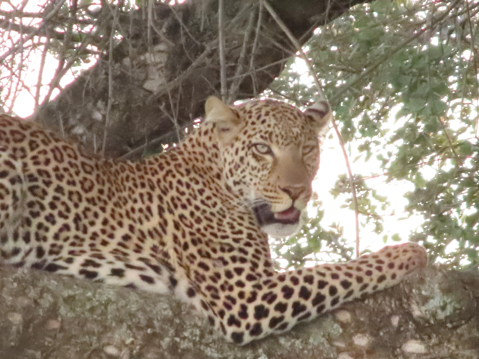 B09MV4BVWX customer photo 1