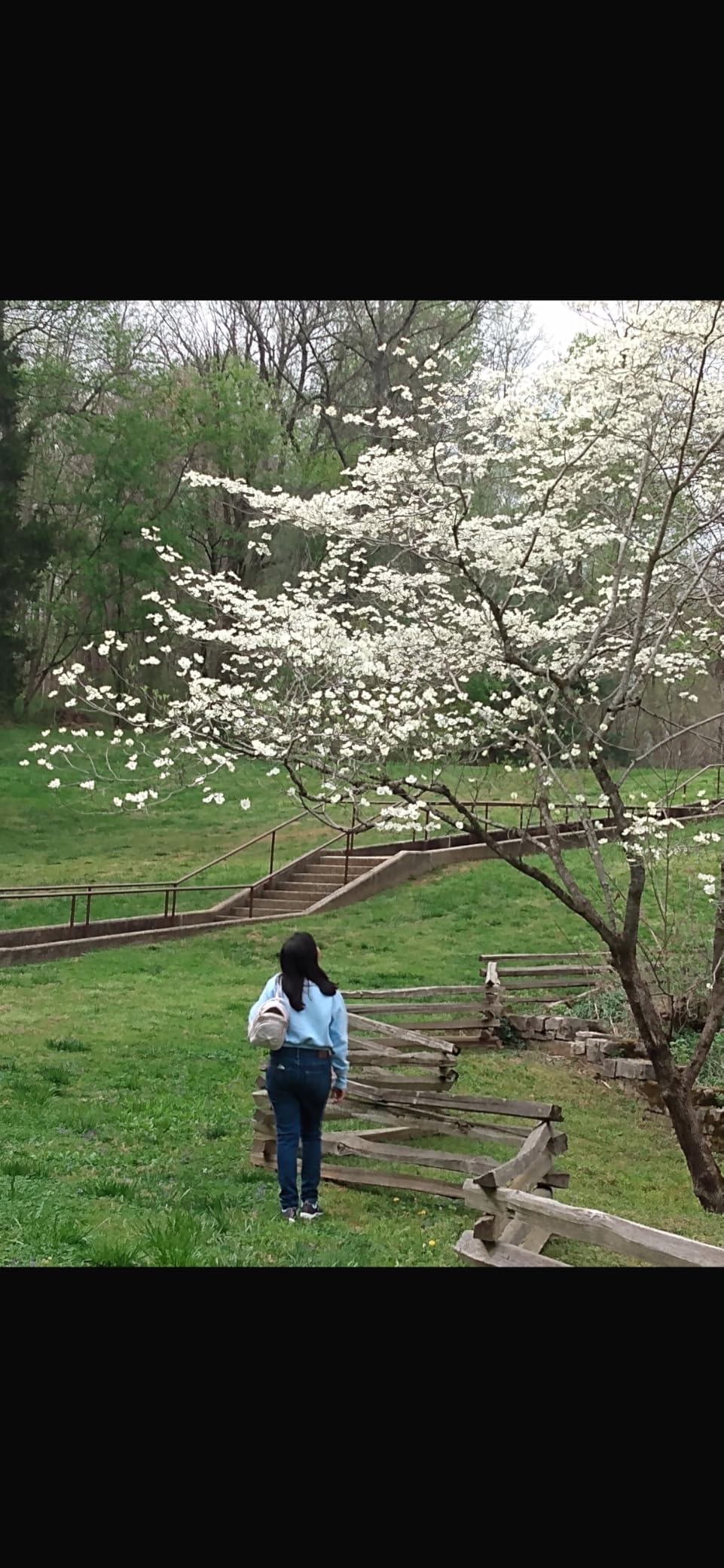 Oddire Drone with Camera - Drones for Adults, with 2 Batteries, Carrying Case, Propellers, 1080P HD Foldable Drone with Stable Hover, Trajectory Flight, Gravity Control, One Key Take Off/Land, 3D Flip customer photo 2