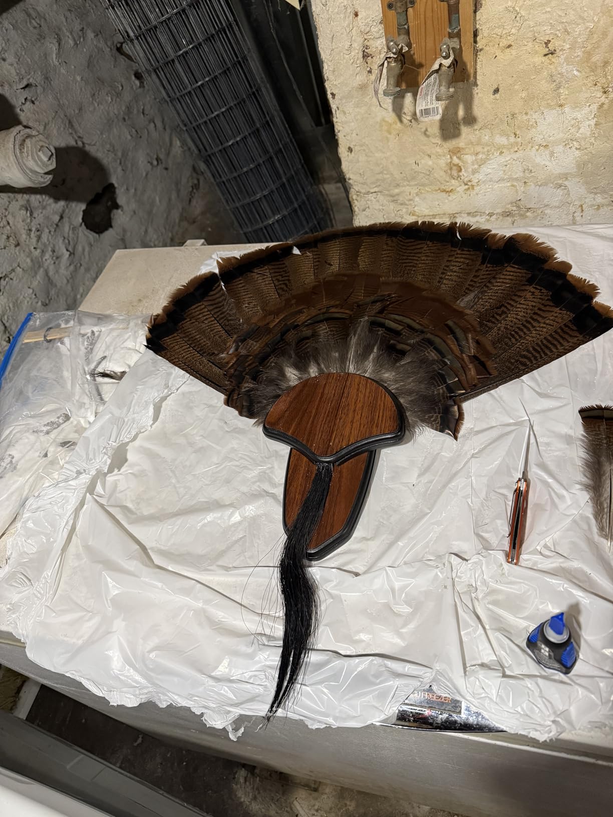 HUNTERS SPECIALTIES Strut Turkey Tail & Beard Mounting Kit - Durable Easy To Assemble Trophy Mount Kit With Hardware Included customer photo 2