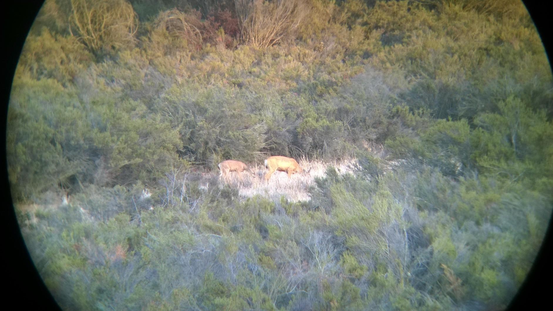 Bushnell Legend 10x42 Ultra HD Monocular customer photo 1