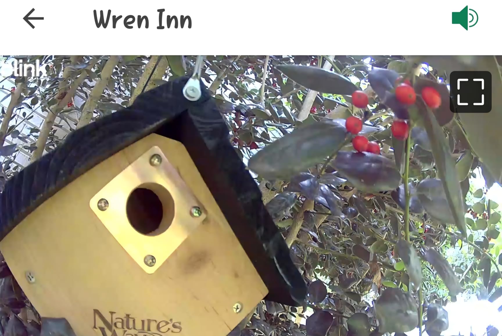 Nature's Way Bird Products CWH1 Cedar Wren House, 8