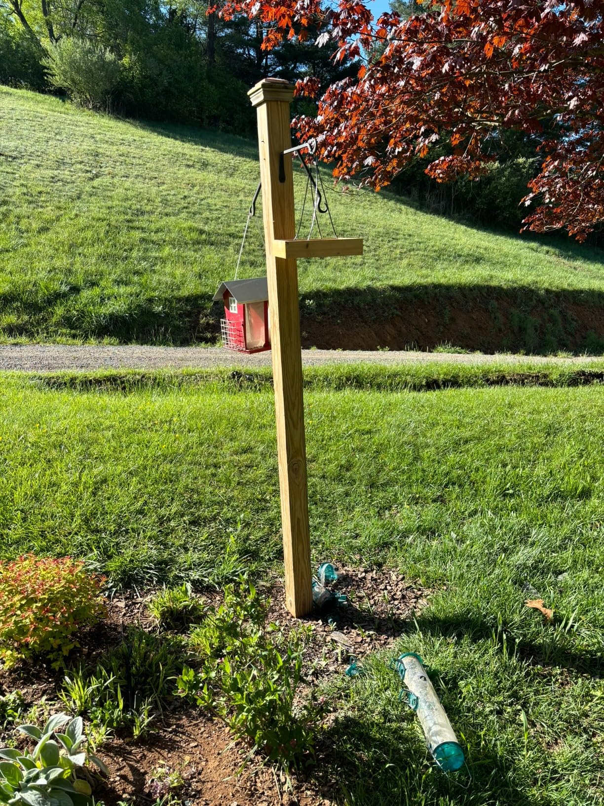 Wild Wings WWCF23 Rot Resistant Cedar Hanging Tray Bird Feeder customer photo 1