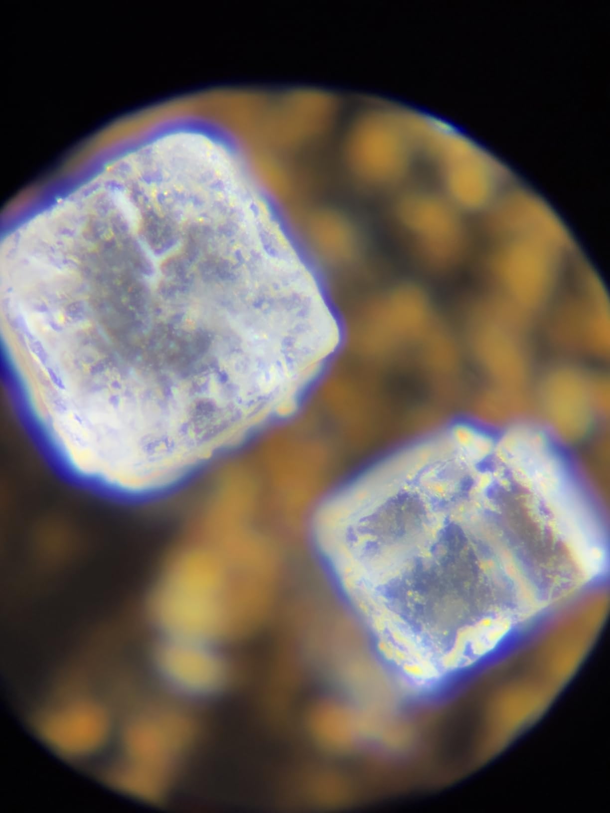 Carson MicroFlip 100x-250x, LED UV Pocket Microscope with Smartphone Clip, STEM Education (MP-250) customer photo 1