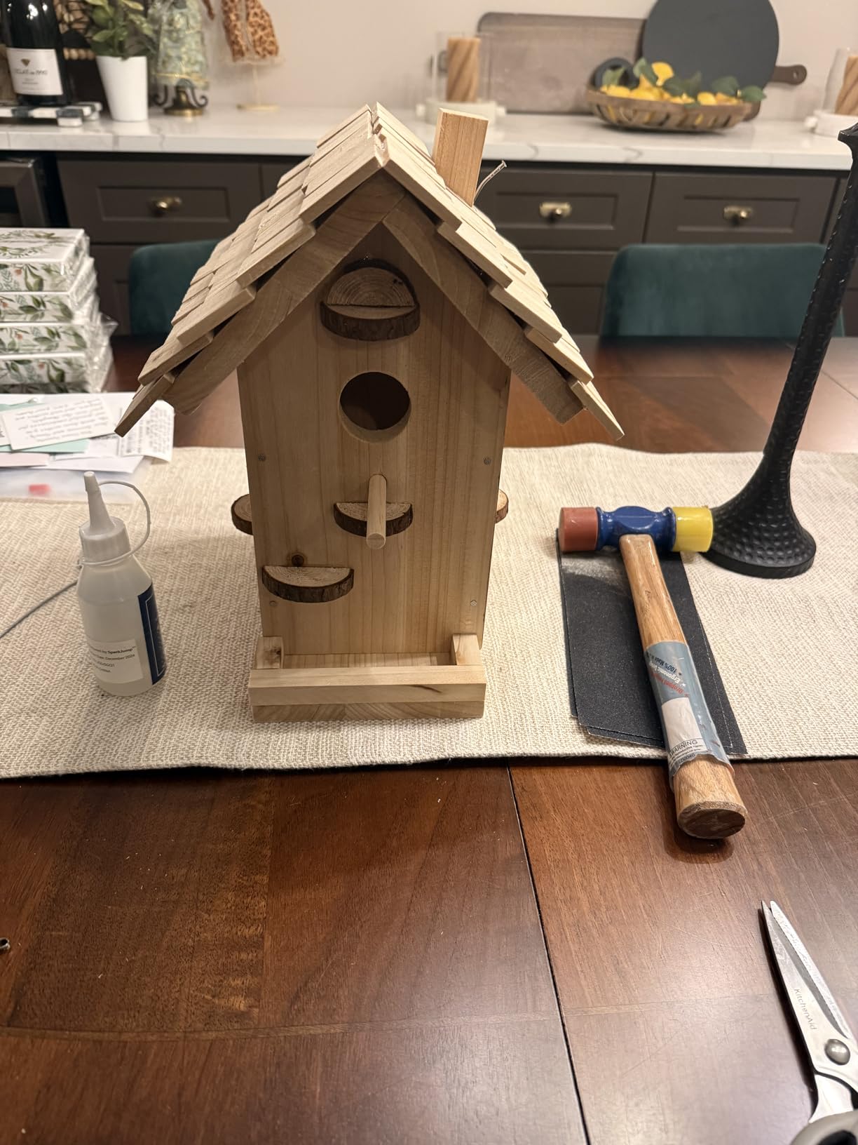 SparkJump Premium Wooden Bird House Kit - Build it Yourself Birdhouse - Woodworking Adult Crafts & DIY Bird House customer photo 1