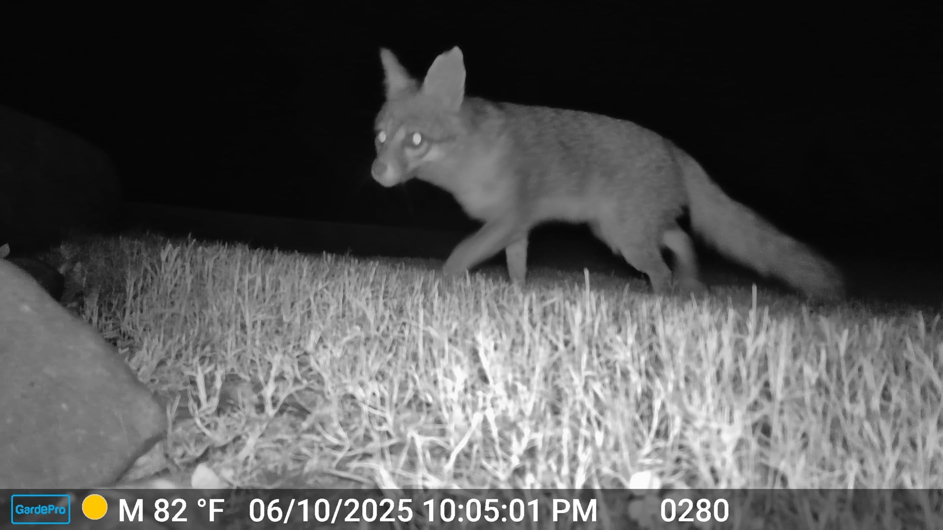 GardePro E6 WiFi Trail Camera, Stable WiFi with External Antenna customer photo 2