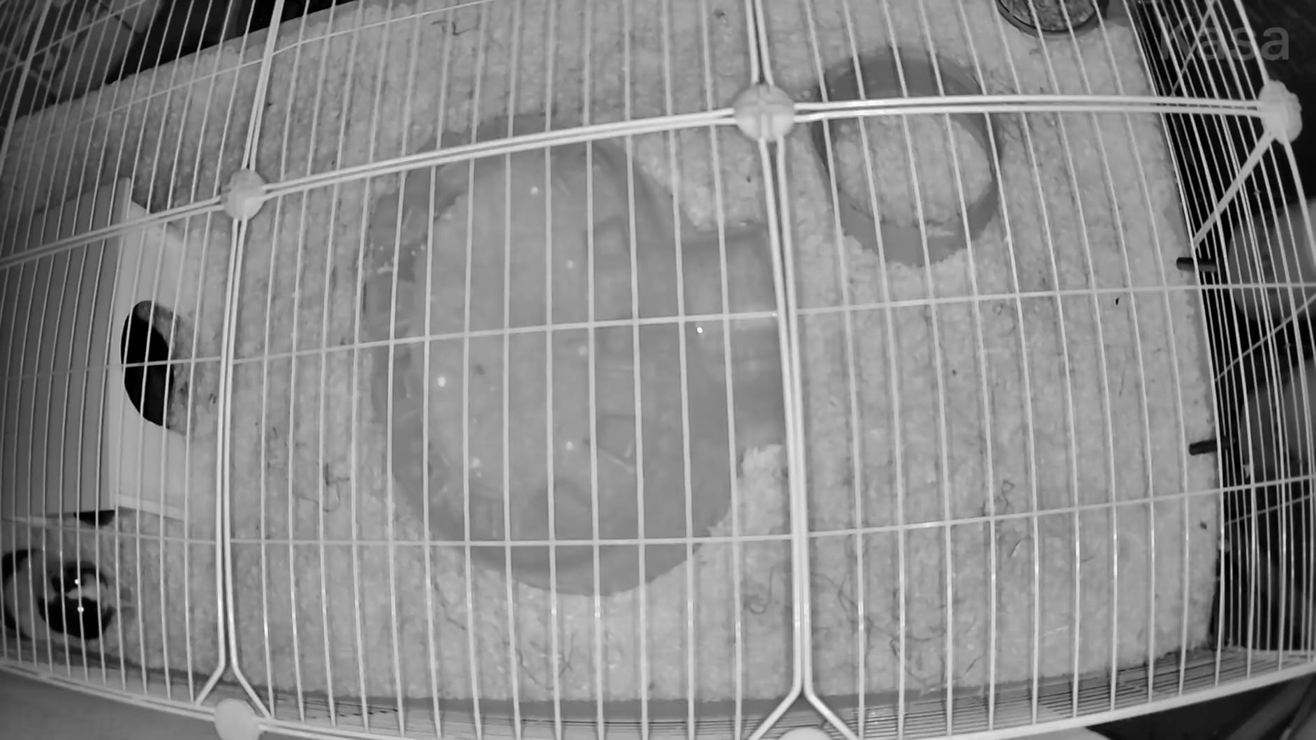Kasa 2K+ Indoor Pan/Tilt Wired Security Camera, Baby & Pet Monitor (KC410S) customer photo 1