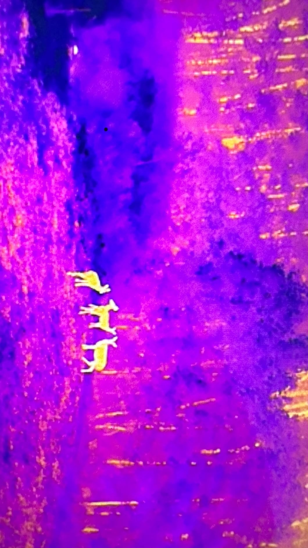 Autel Robotics EVO II Dual 640T V3, 640x512 Thermal Imaging Drone, Remote ID Supported, 0.8'' CMOS & 50MP 8K RYYB Sensor, 10+ Temp Measurement, D-RI Ranges, Thermal Analysis Tool, for Search & Rescue / Power Inspection / Public Safety / Hunting customer photo 2