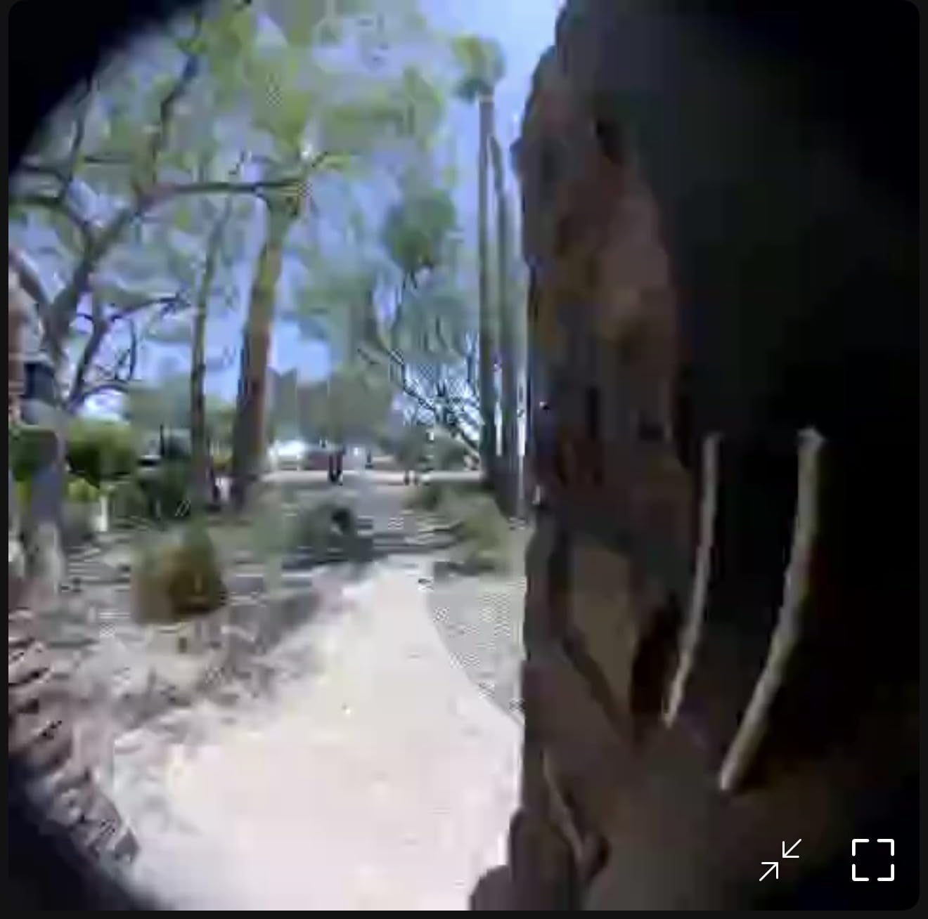 Ring Battery Doorbell, Head-to-Toe Video, Live View with Two-Way Talk, Motion Detection & Alerts, Satin Nickel customer photo 1