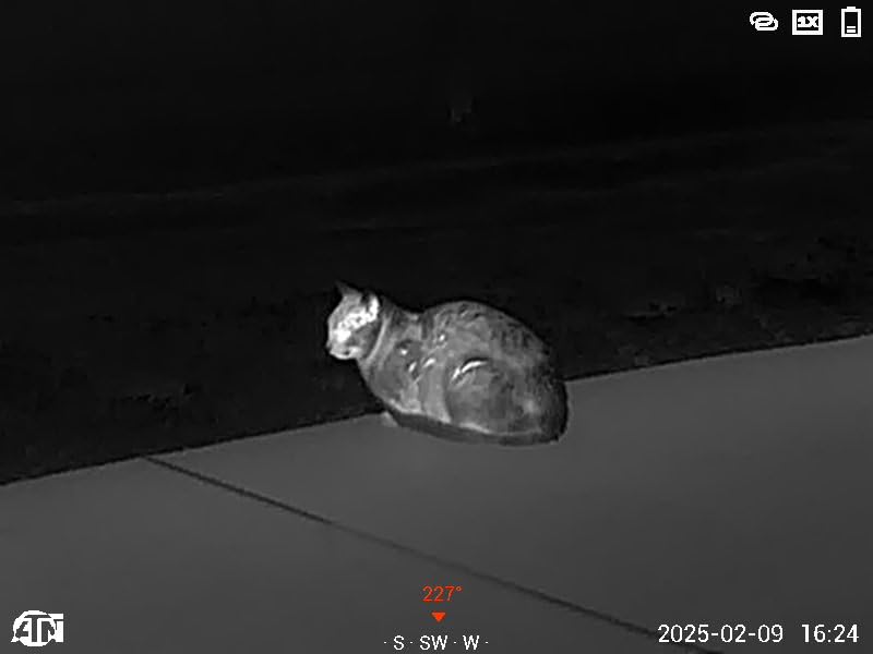 ATN BlazeTrek-319 Thermal Imaging Monocular 12 Micron, 384x288 <25 NETD, 50 Hz customer photo 1