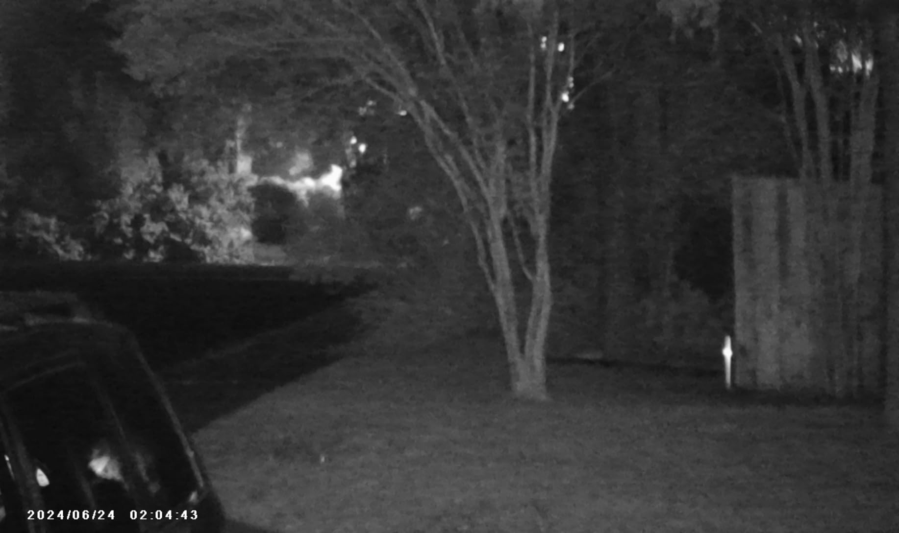 VISIOGEAR Night Vision Goggles - Eagle 4K Night Vision Binoculars customer photo 2