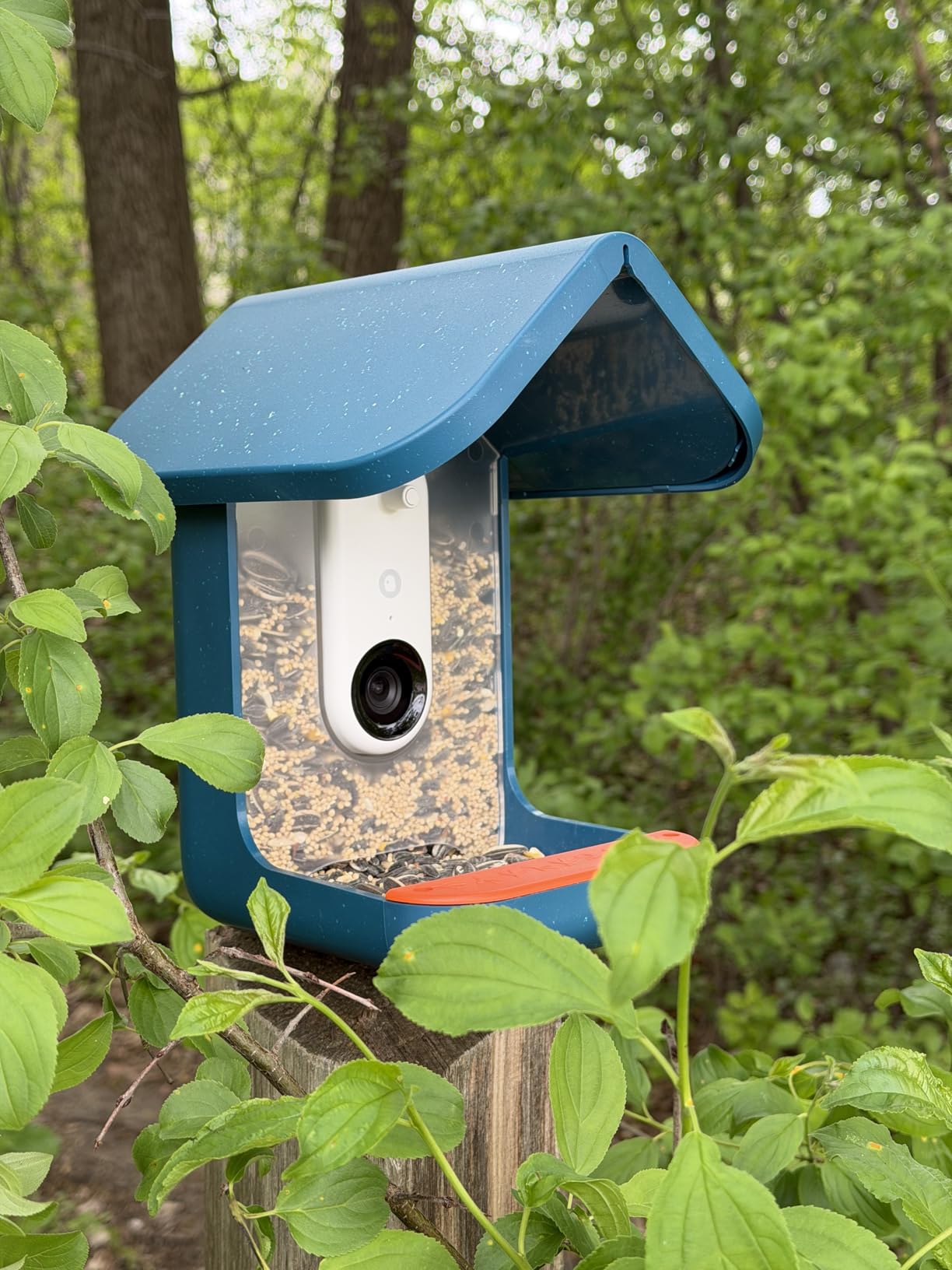 Birdbuddy Pro Solar Smart Bird Feeder with Camera, AI Bird ID, 2K Video customer photo 2