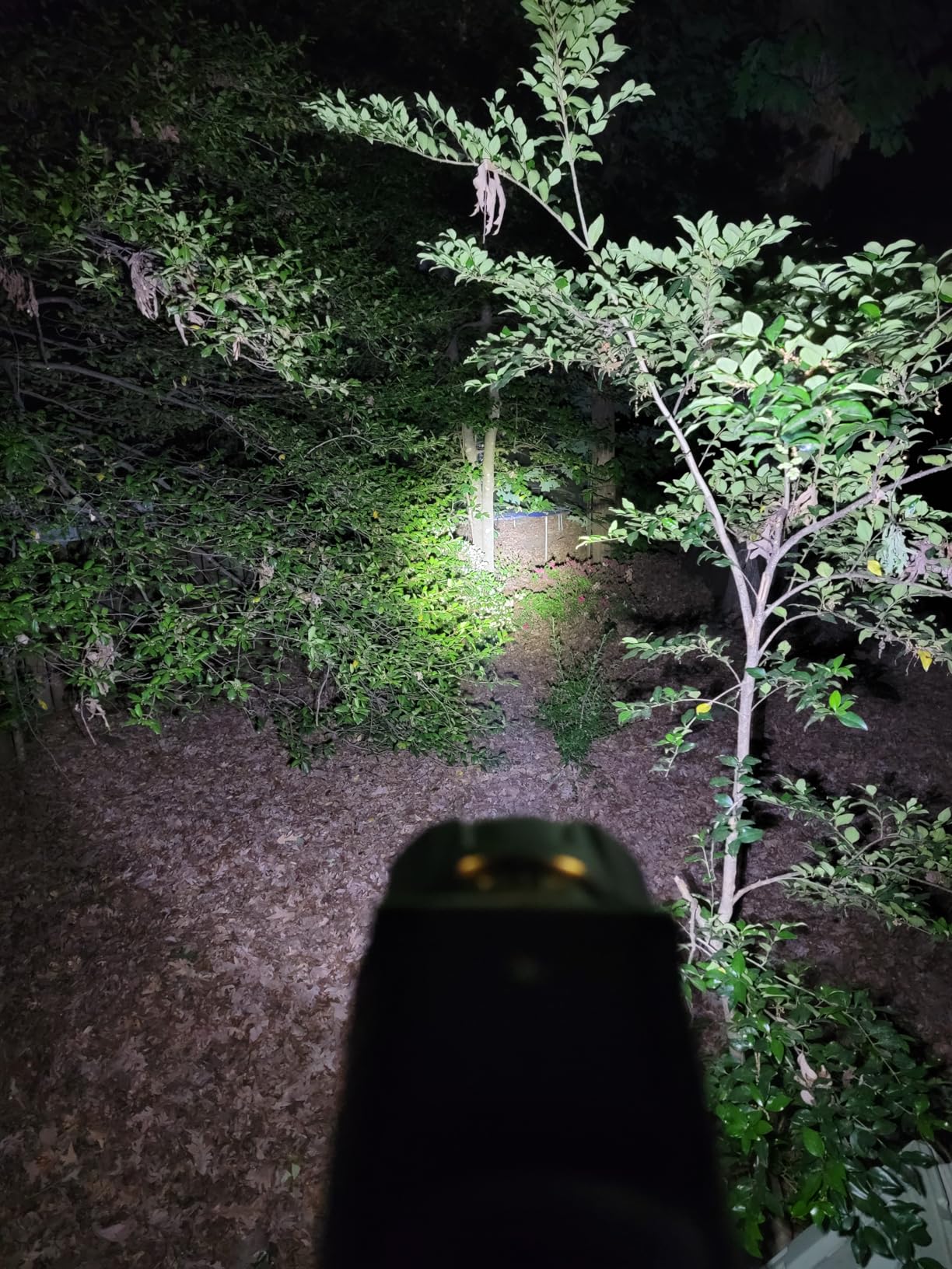 MOONASION 100K Lumen customer photo 2