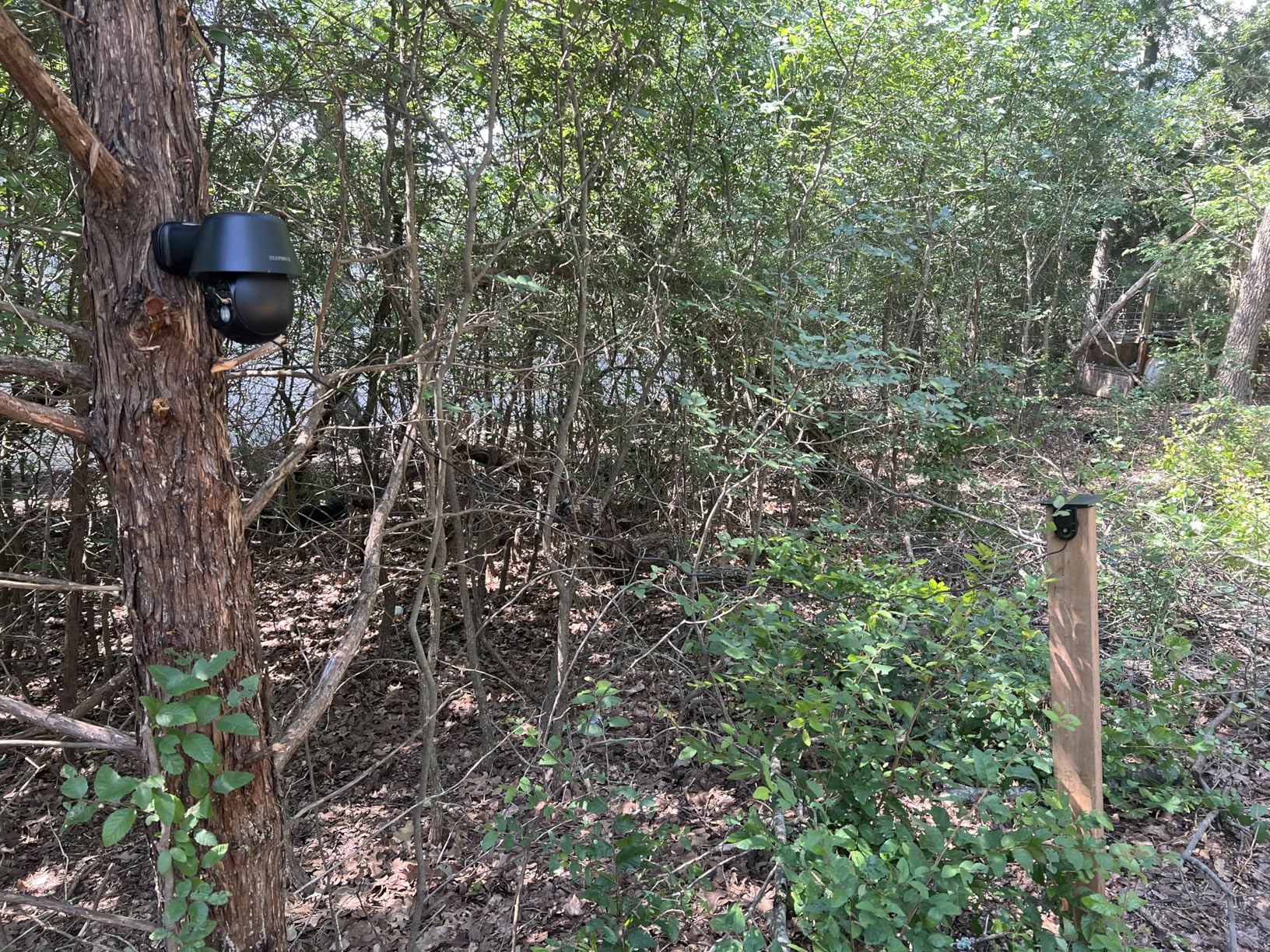 Solar Security Cameras Wireless Outdoor, 2K Pan/Tilt 360° View customer photo 2